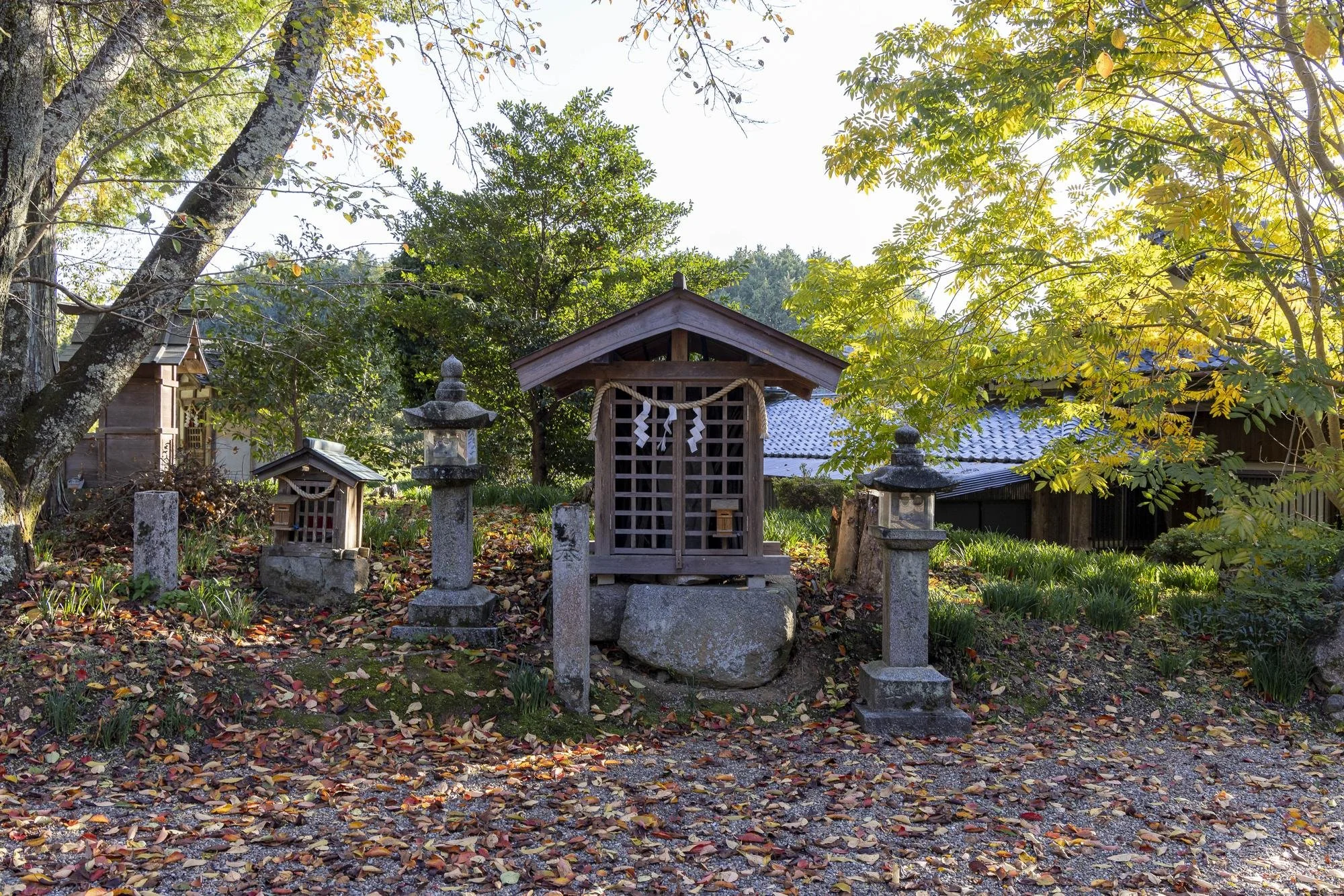 A small shrine with a wooden lattice door, surrounded by Japanese stone lanterns and markers, set in a garden with fallen autumn leaves and trees with green and yellow foliage.