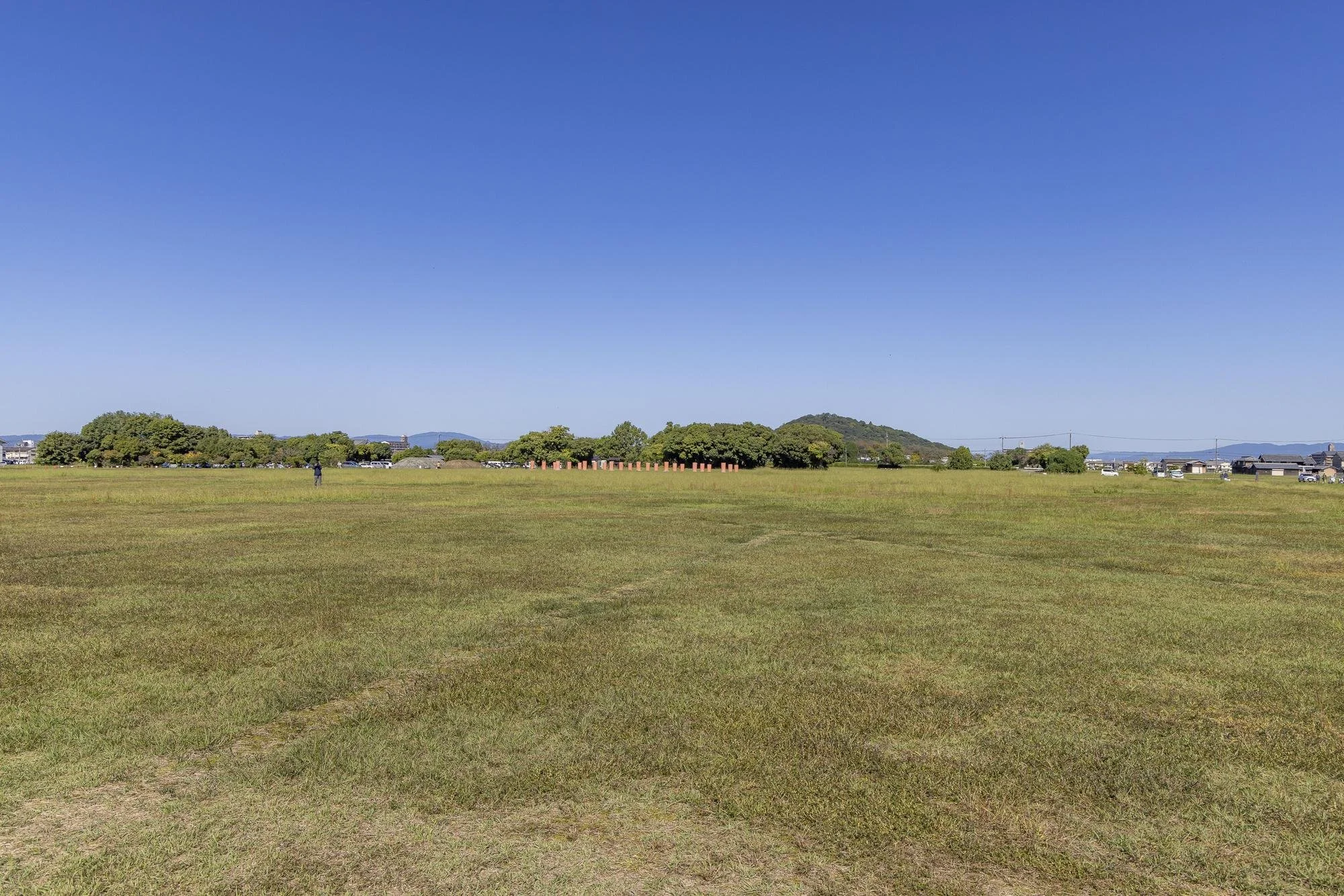 A wide open grassy field with a few trees in the distance and a clear blue sky.