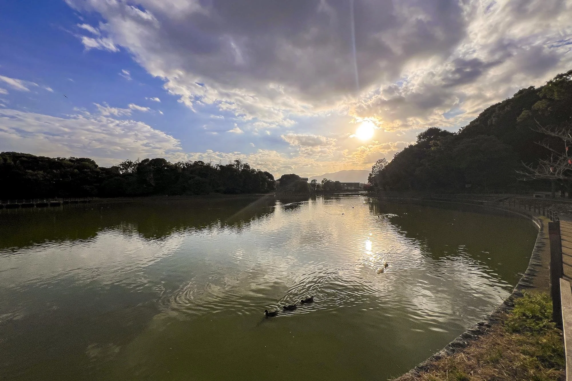 A serene lake at sunset with ducks swimming, surrounded by trees and a pathway along the water's edge. The sky is partly cloudy with the sun low on the horizon.