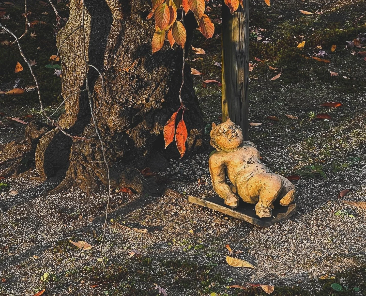 Excuse me, but are you OK? 
　
　
📍 Gango-ji Tenple
Japan, 〒630-8392 Nara, Chuincho, 11
　
　
　
#gangoji #naramachi #naratrip #unescoworldheritagesite