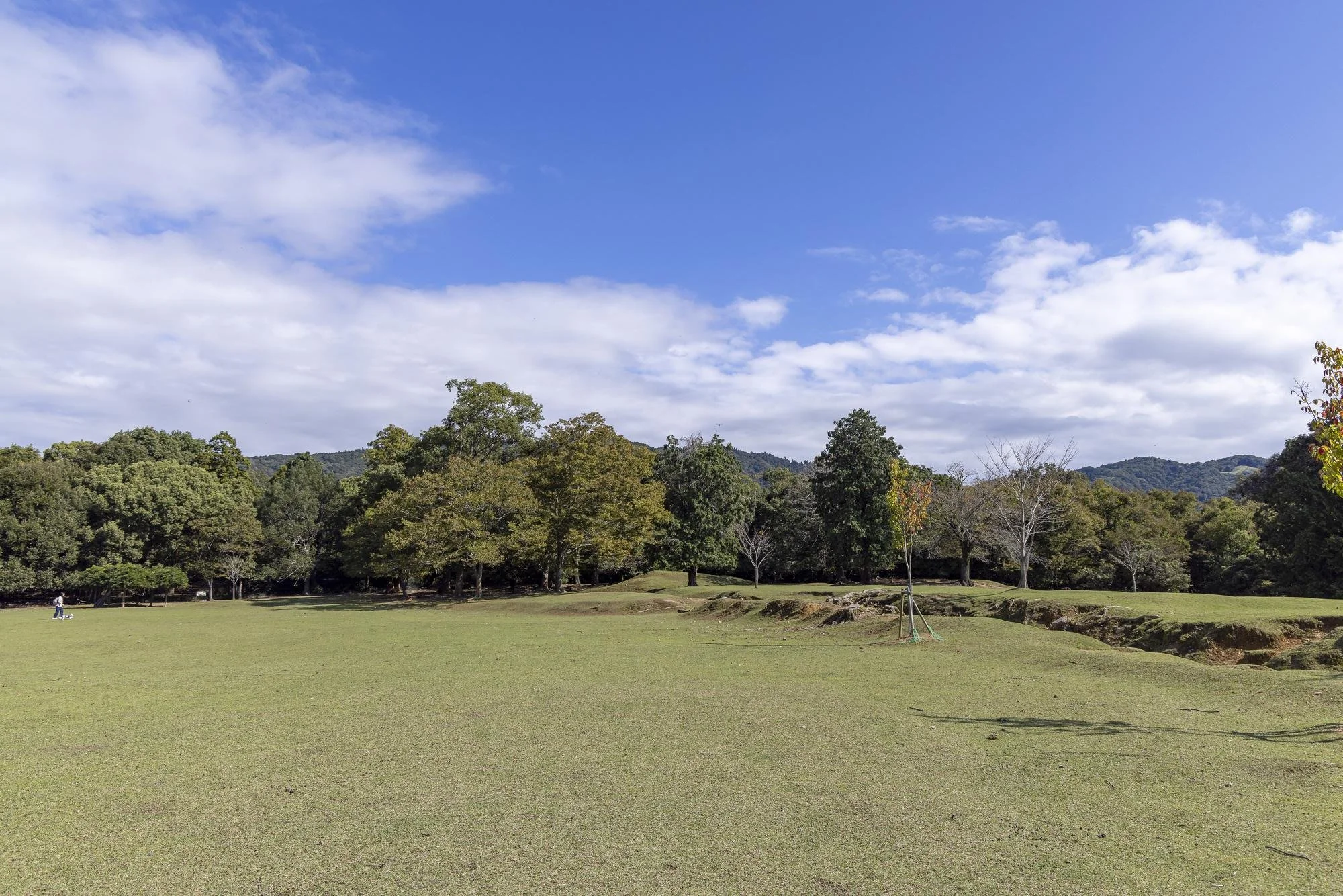 Open grassy park with trees in the background and a partly cloudy blue sky overhead.