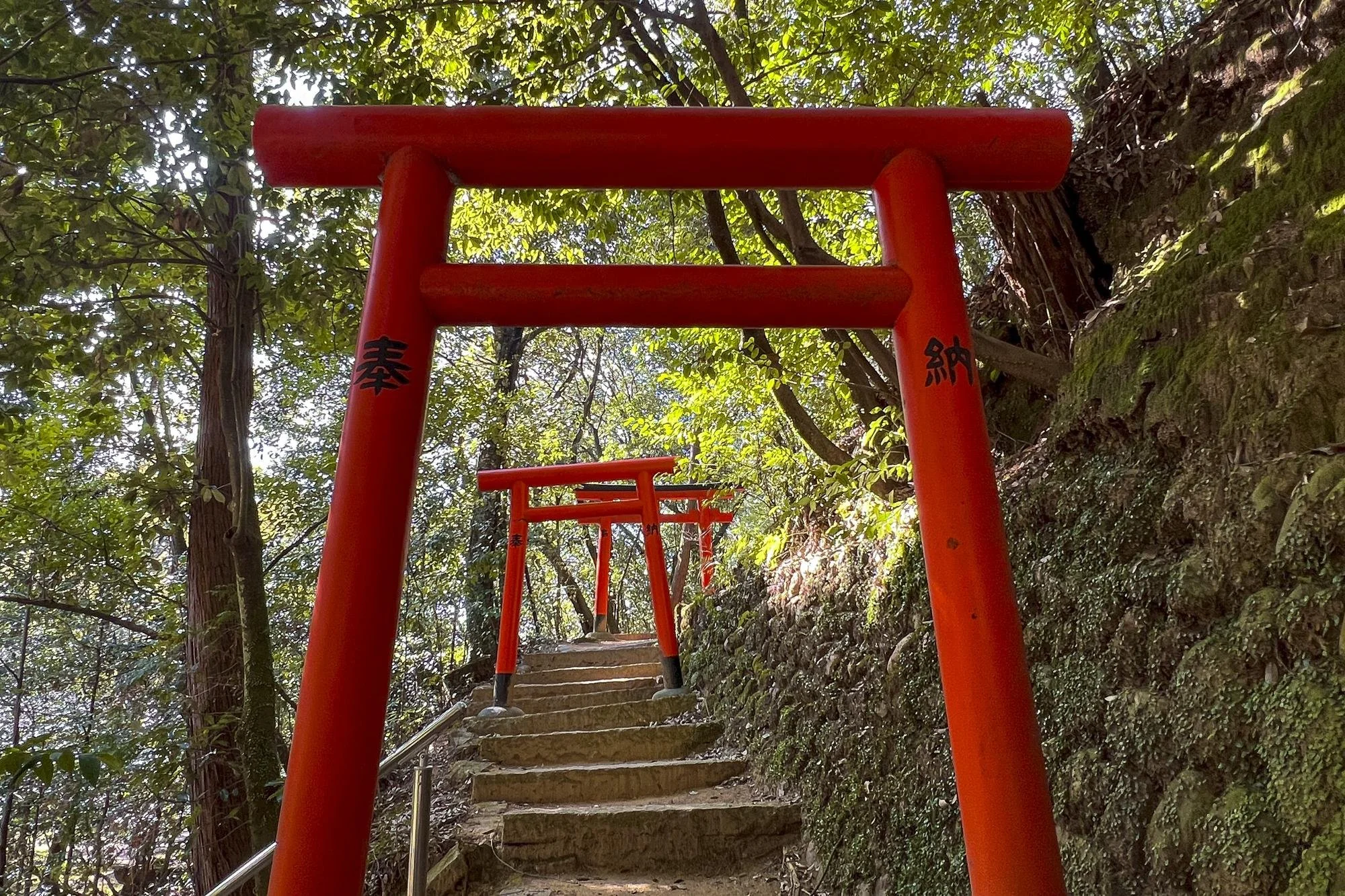 Tomi-jinja-Shrine_033.jpg