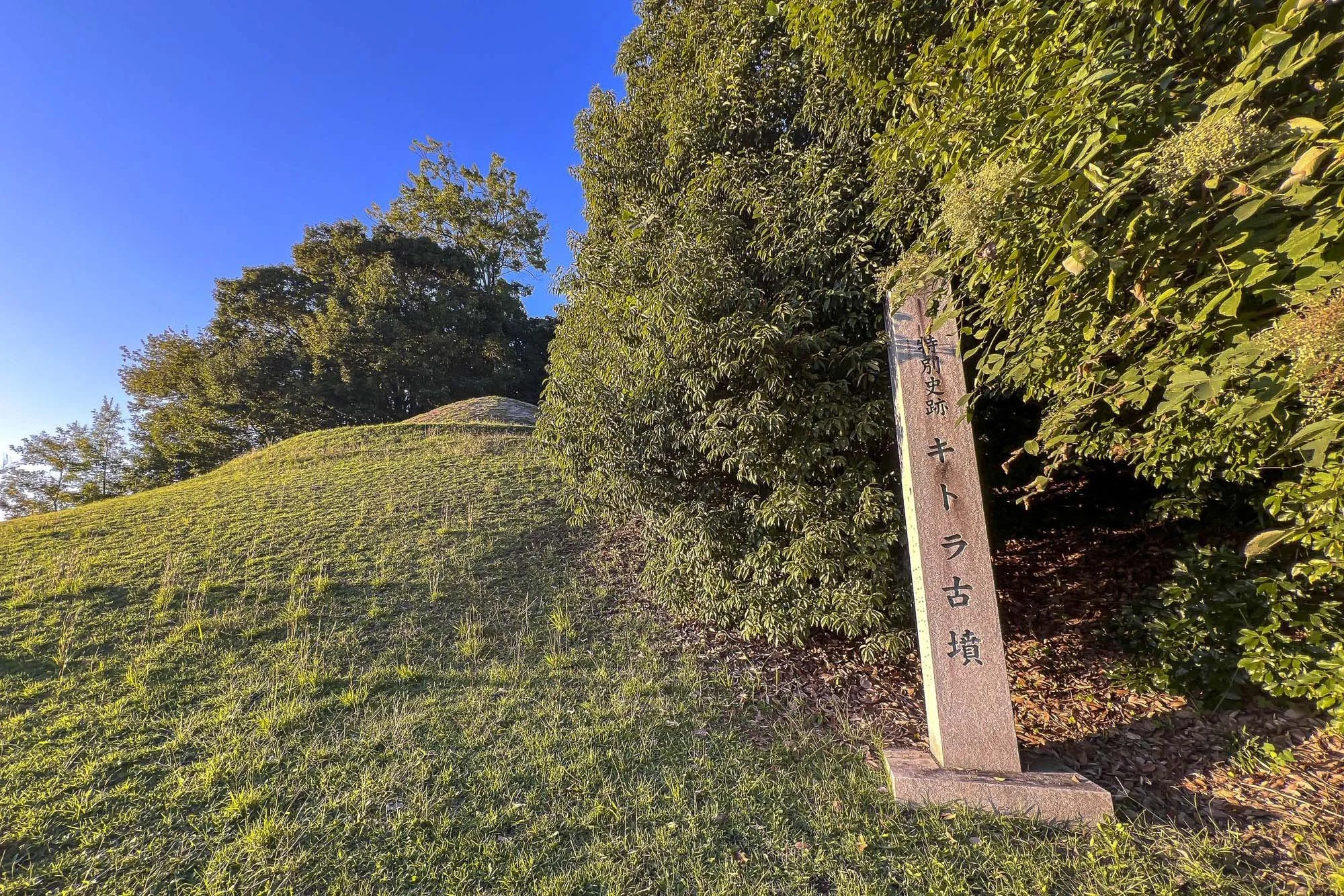 A grassy hill with trees on top and a stone marker with Japanese characters on the right side under a clear blue sky.