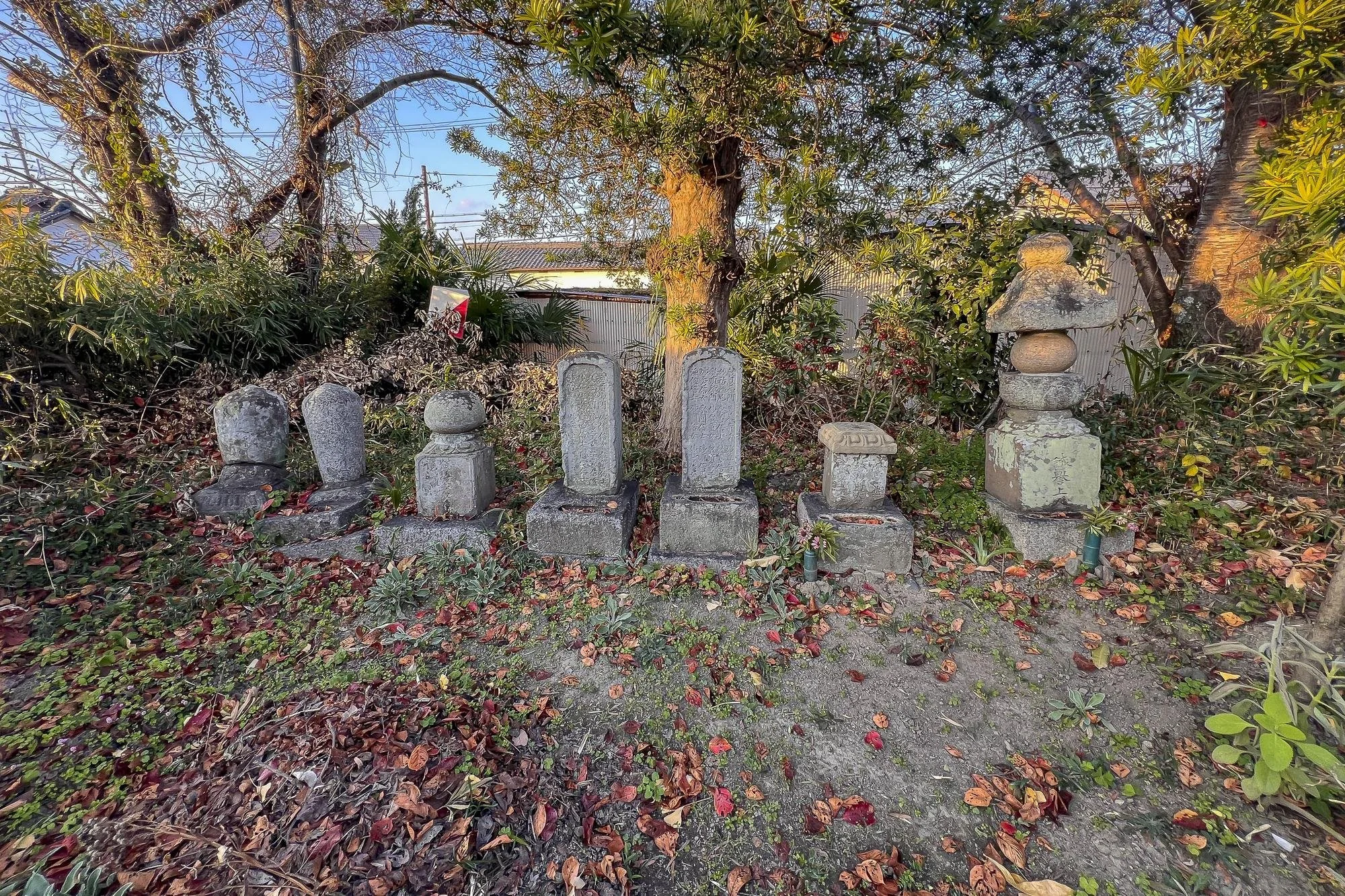 A line of six small stone Japanese-style stone lanterns and stupas in a garden, surrounded by trees and shrubbery with fallen leaves.