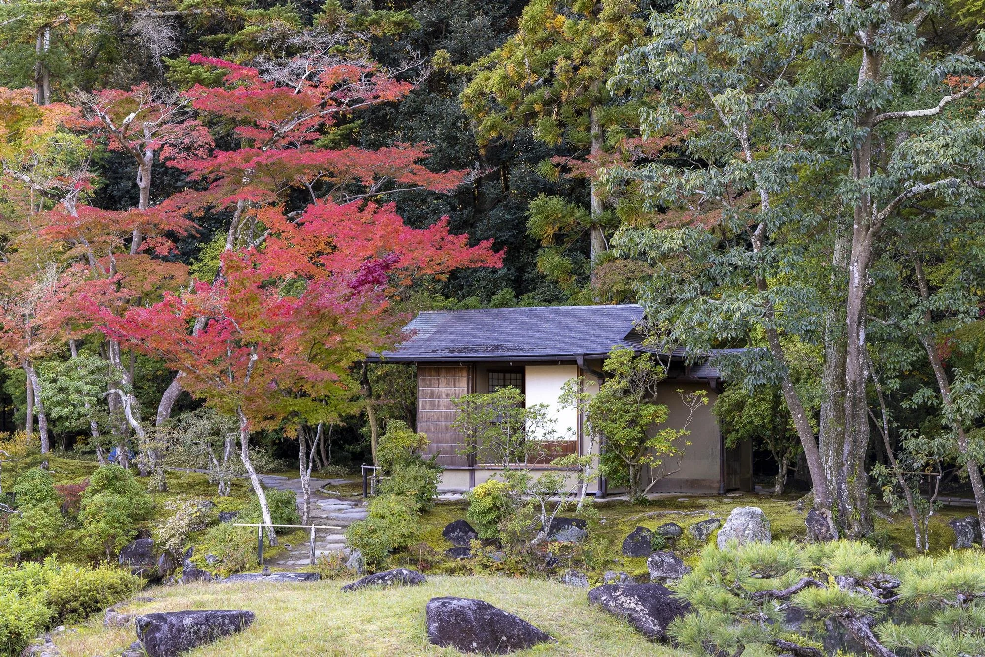 A traditional Japanese garden with colorful autumn trees, rocks, and a small wooden building surrounded by greenery.