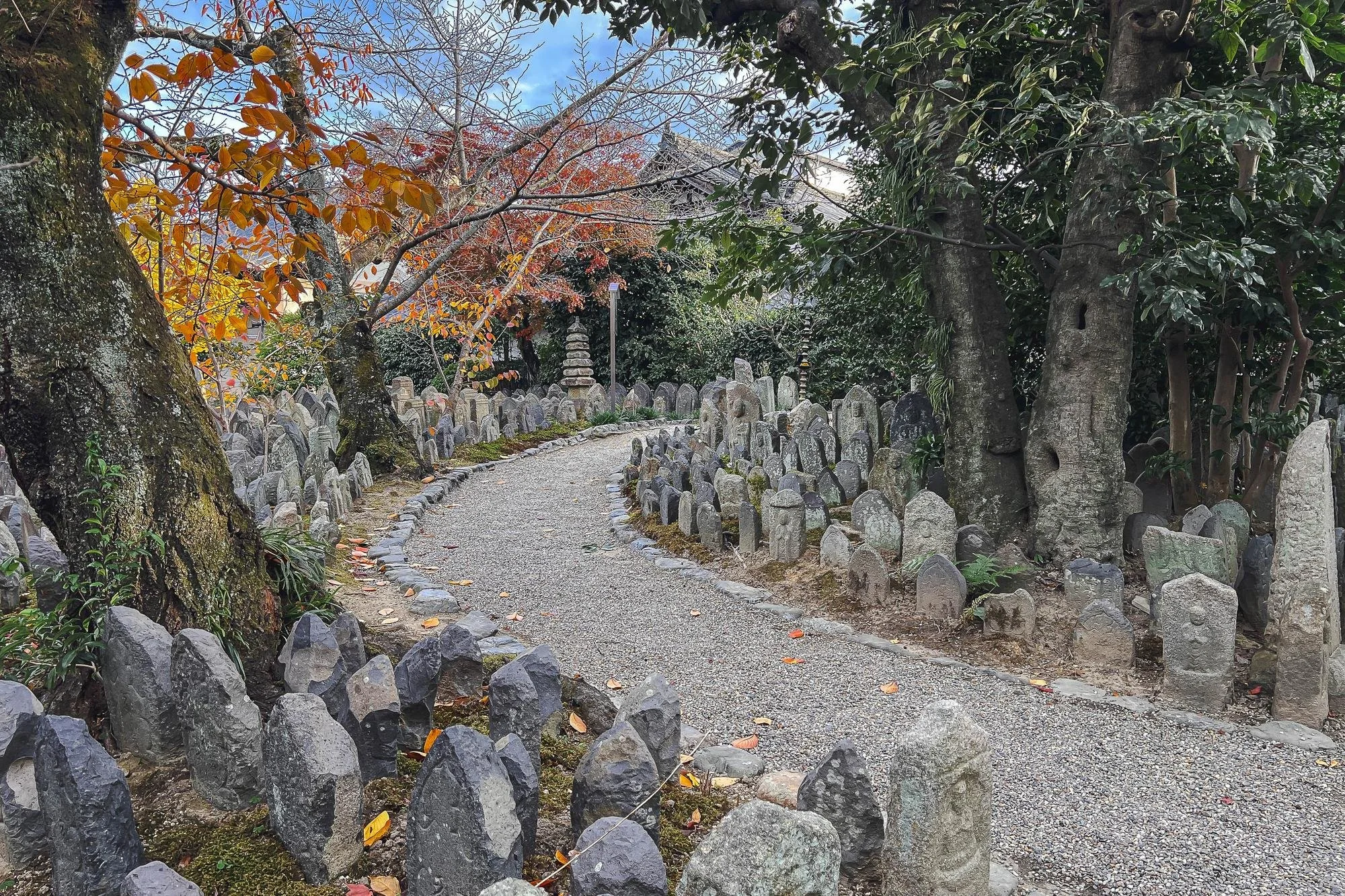 A winding gravel path in a Japanese garden, lined with small stone statues and lanterns, surrounded by trees with autumn leaves.