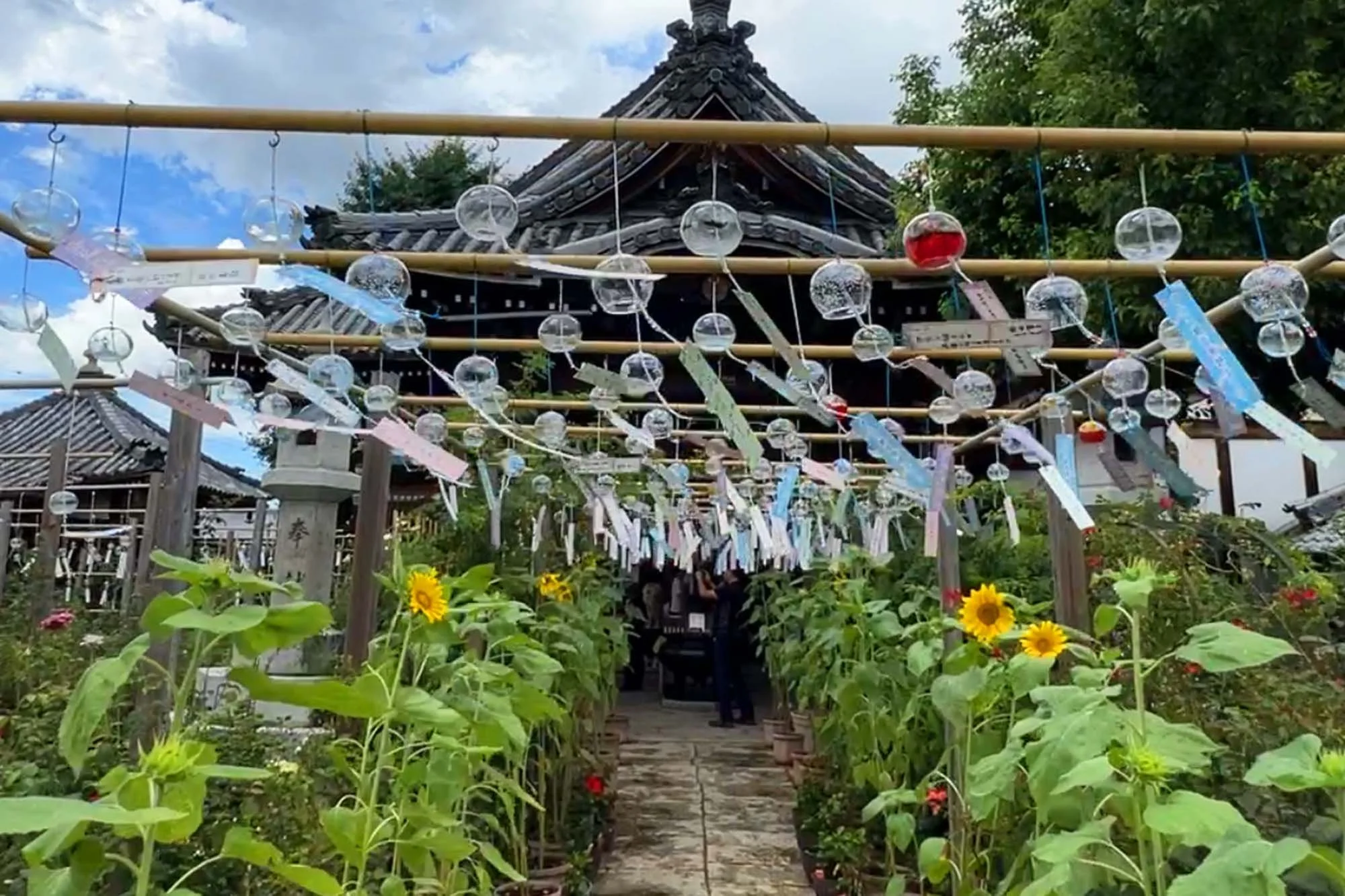 A traditional Japanese shrine with a pathway lined with sunflowers, decorated with hanging ema prayer plaques and glass wind chimes under a blue sky with clouds.