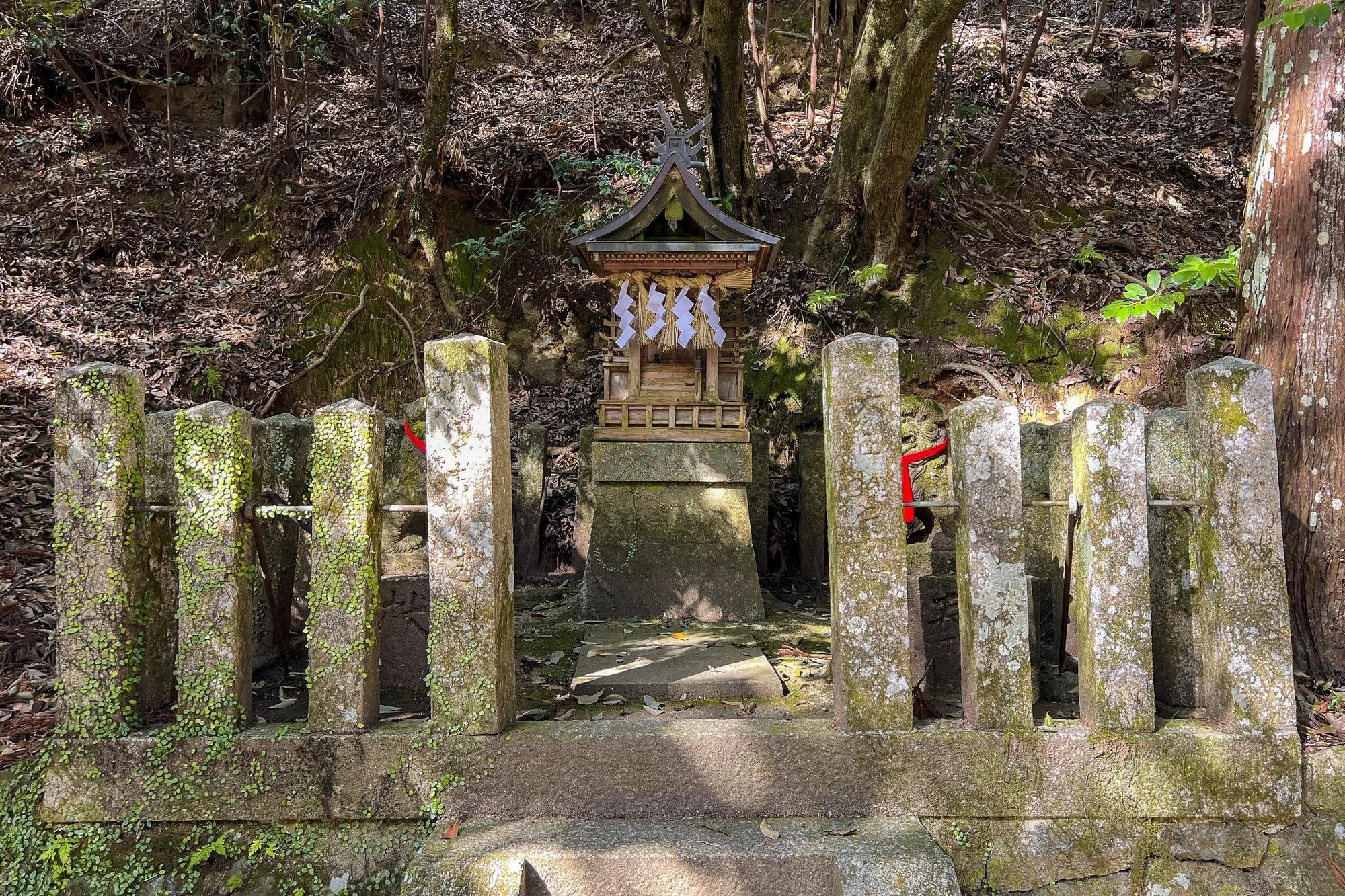 Tomi-jinja-Shrine_031.jpg