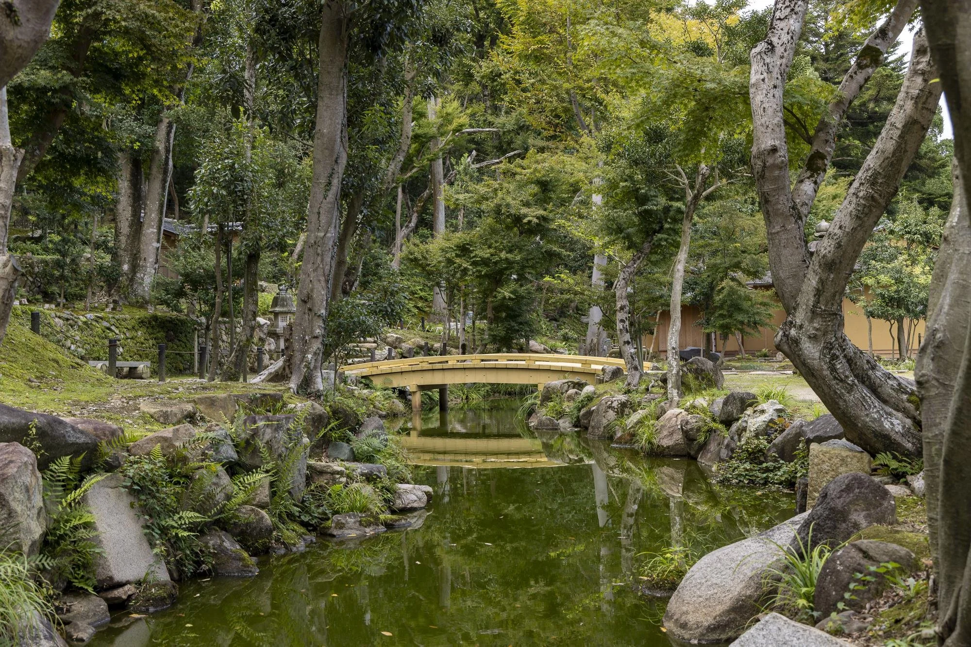 A peaceful garden scene with a small arched wooden bridge over a narrow pond, surrounded by trees, rocks, and lush green foliage.