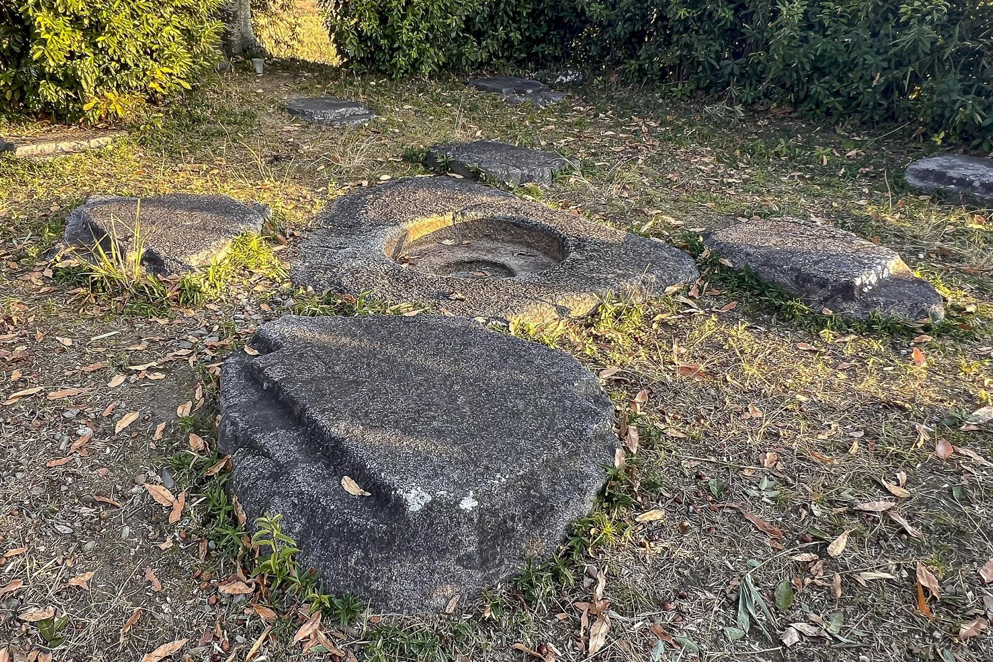 Large ancient stone circle with carved reliefs, surrounded by grass and bushes.
