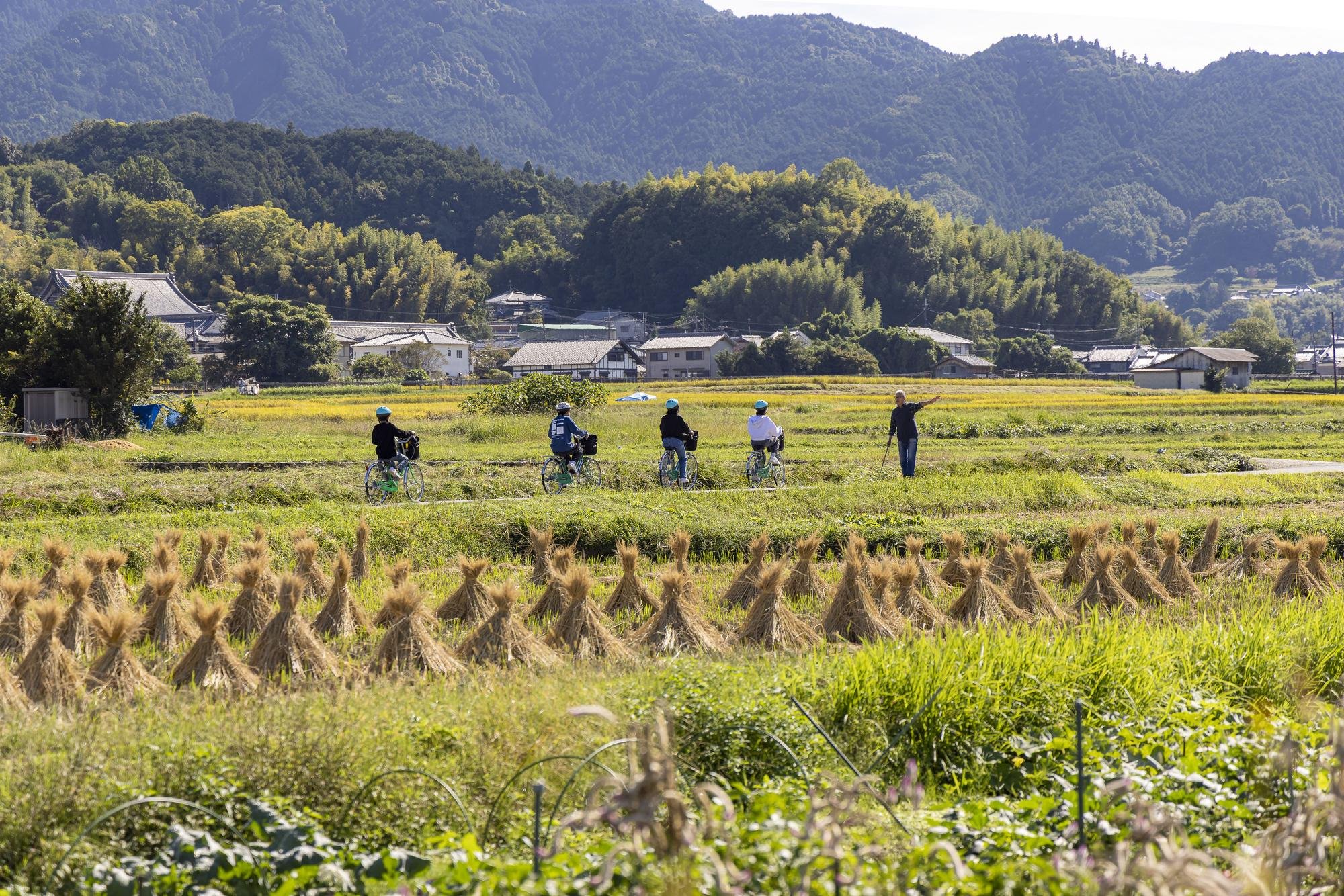 Cyclists traveling through rice fields and rural countryside in Asuka Village, Nara.