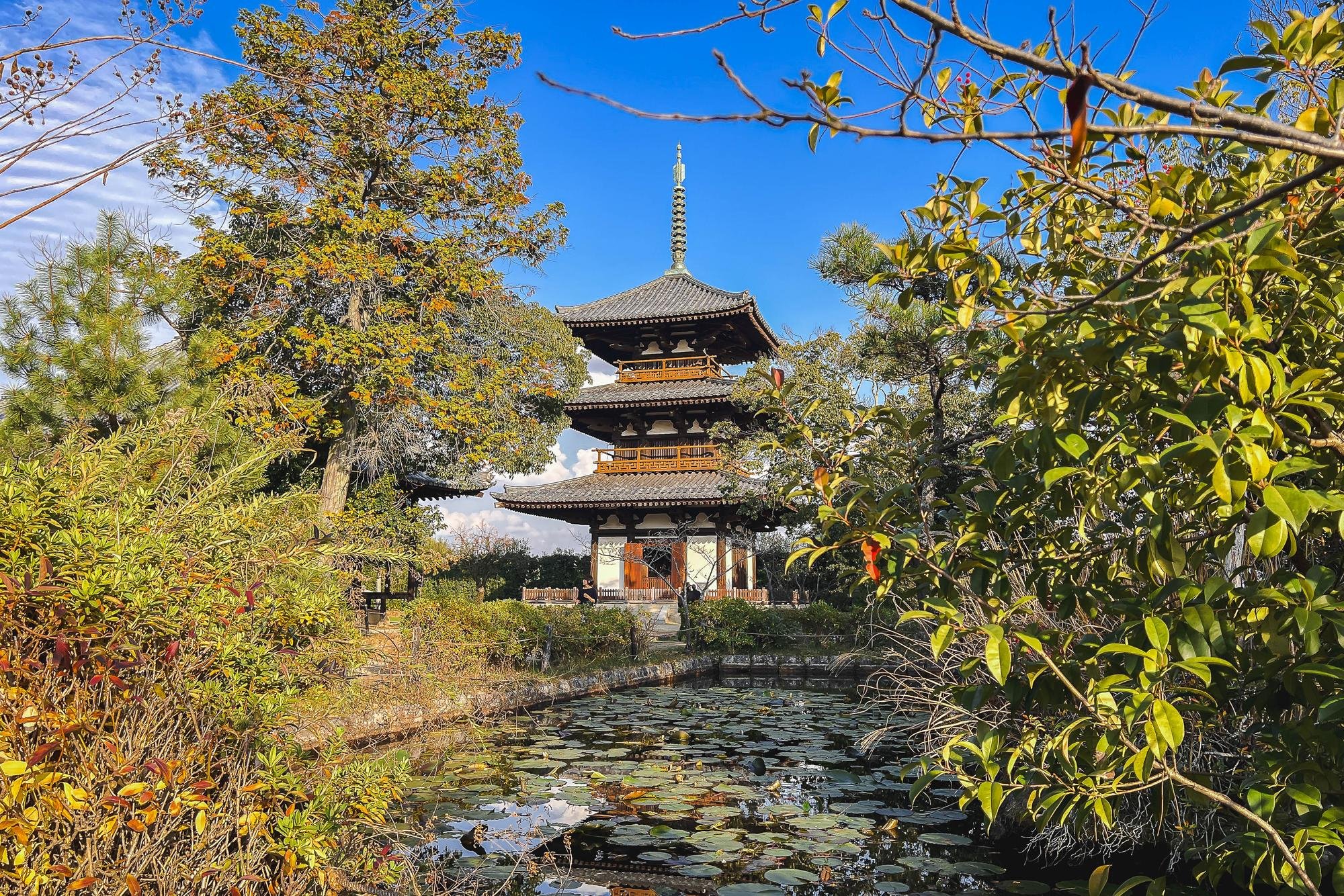 A traditional Japanese pagoda surrounded by lush trees and foliage, with a pond filled with lily pads in the foreground, under a blue sky.