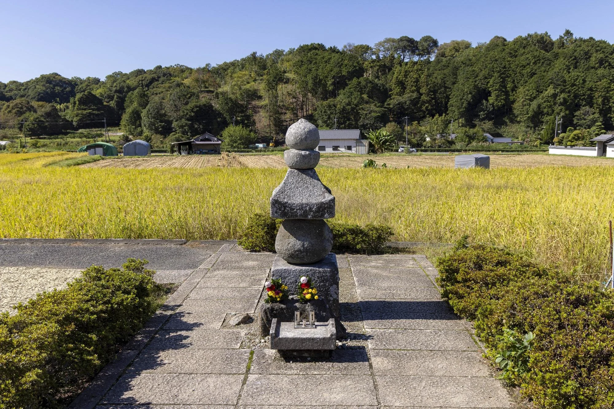 Stone monument with flowers and small memorial objects on a paved base in front of a yellow rice field, with rolling hills and greenery in the background under a clear blue sky.