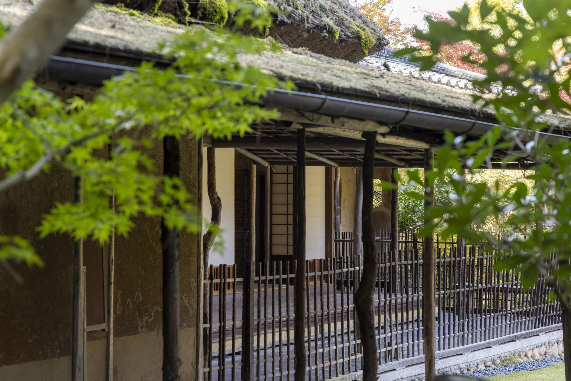 Traditional Japanese house with a bamboo fence, shoji screen, and moss-covered roof, surrounded by green foliage.