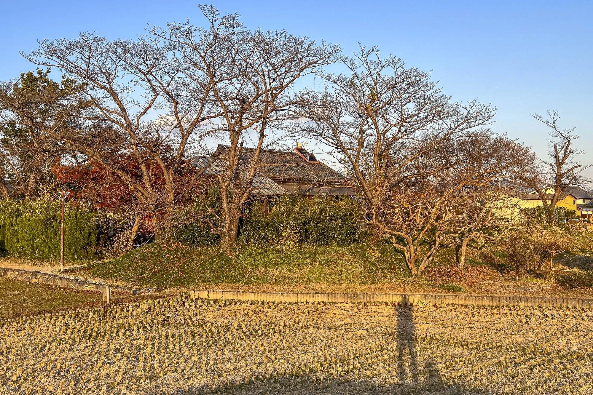 A house on a hill surrounded by leafless trees with a clear blue sky overhead.