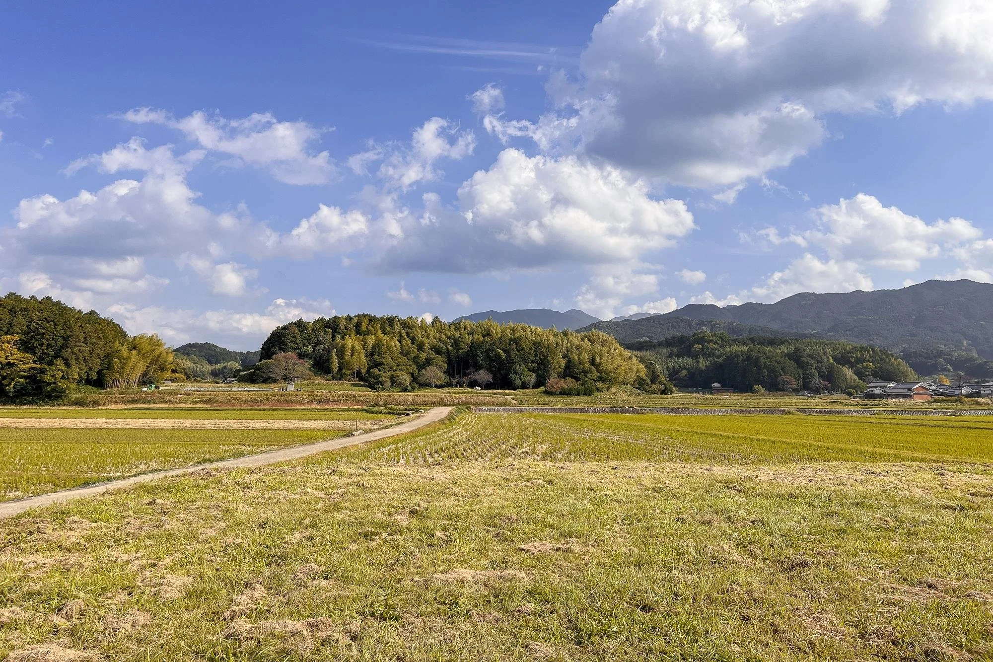 Daikandaiji Temple Site: Open farmland with green crops and a dirt road, surrounded by trees, mountains in the background, and a partly cloudy sky.