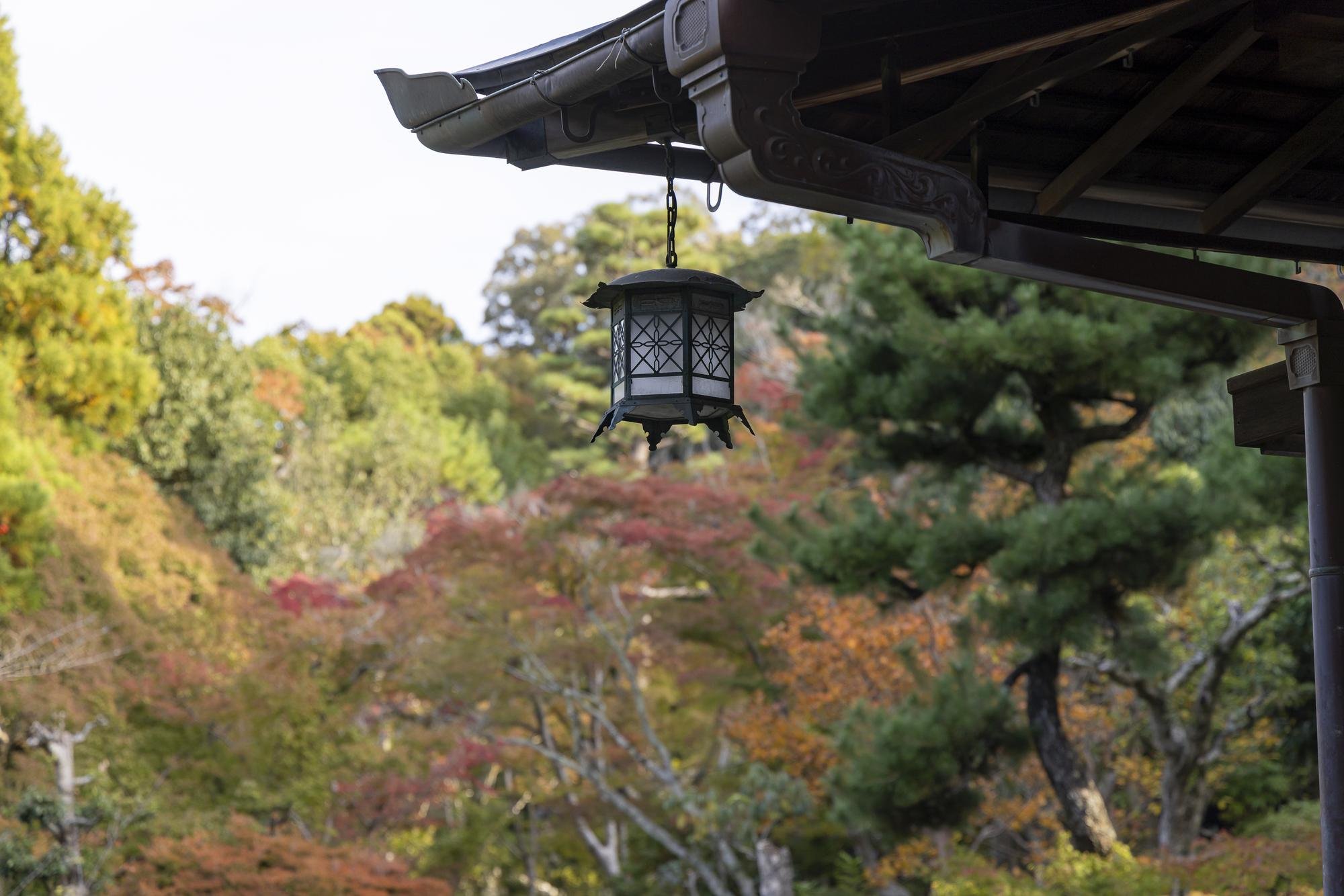 A traditional Japanese lantern hanging from the corner of a building's roof, with an autumn landscape of colorful trees in the background.