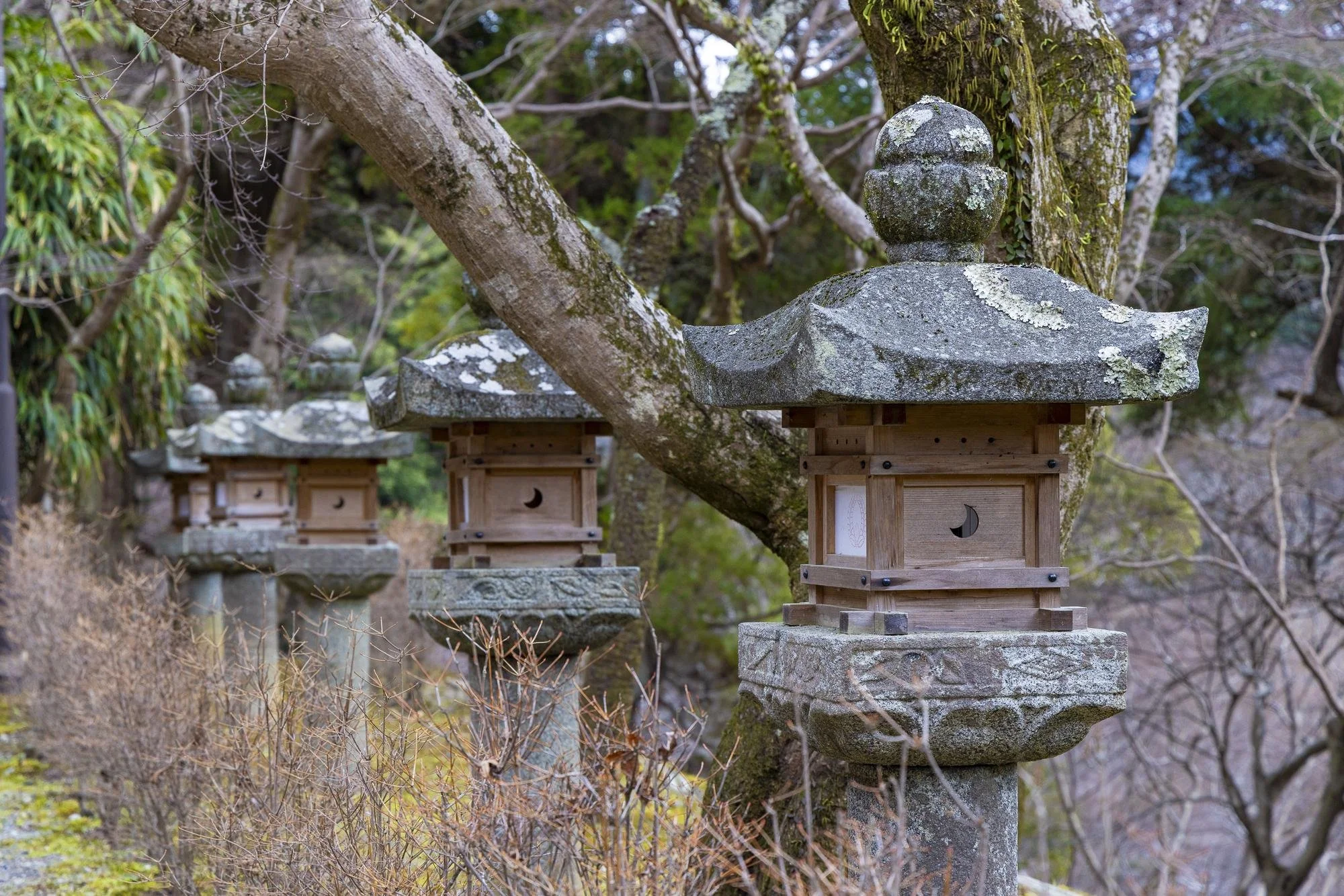Tanzanjinja-Shrine_031.jpg