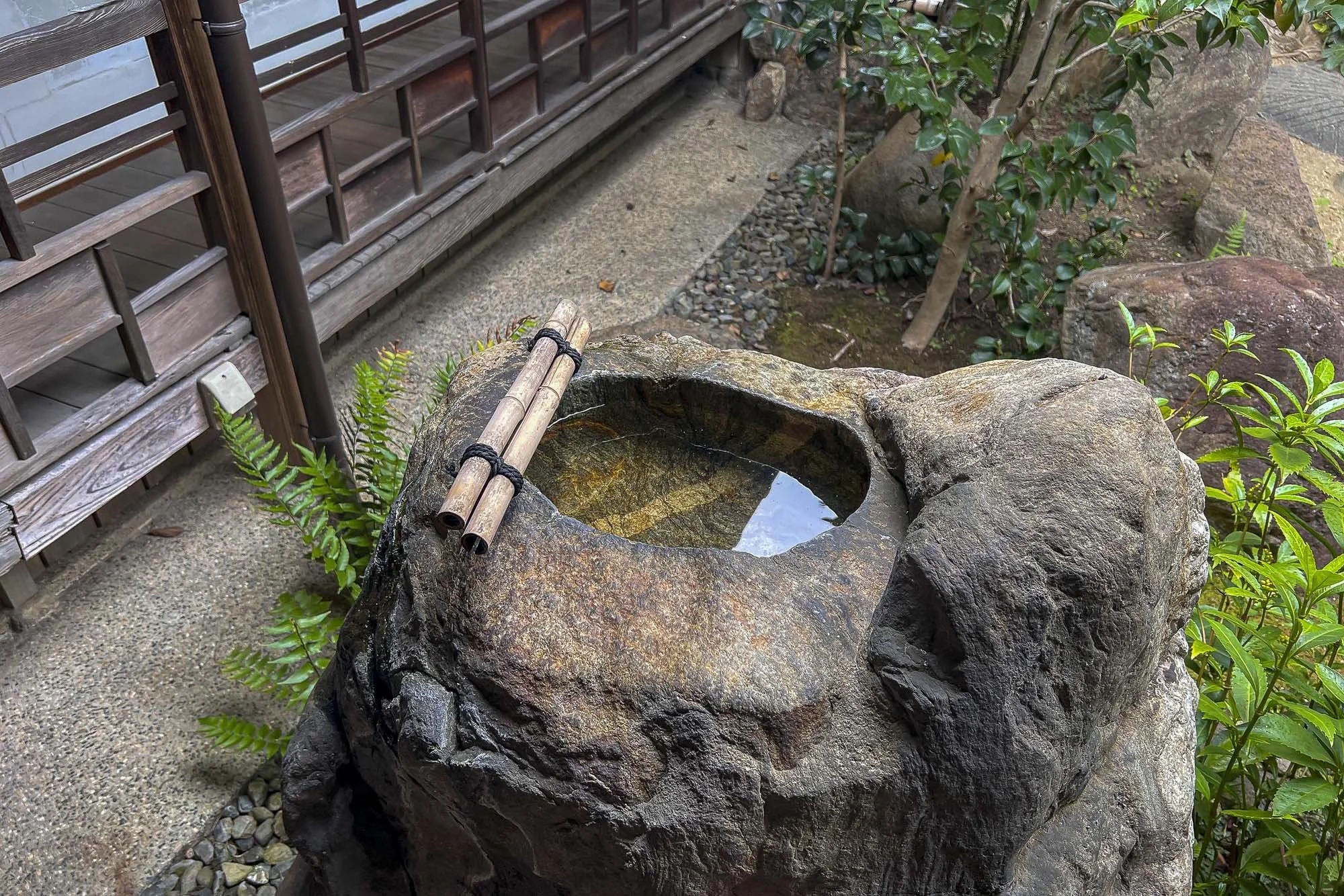A traditional Japanese stone water basin with water, situated outdoors beside a wooden fence and surrounded by greenery and rocks.