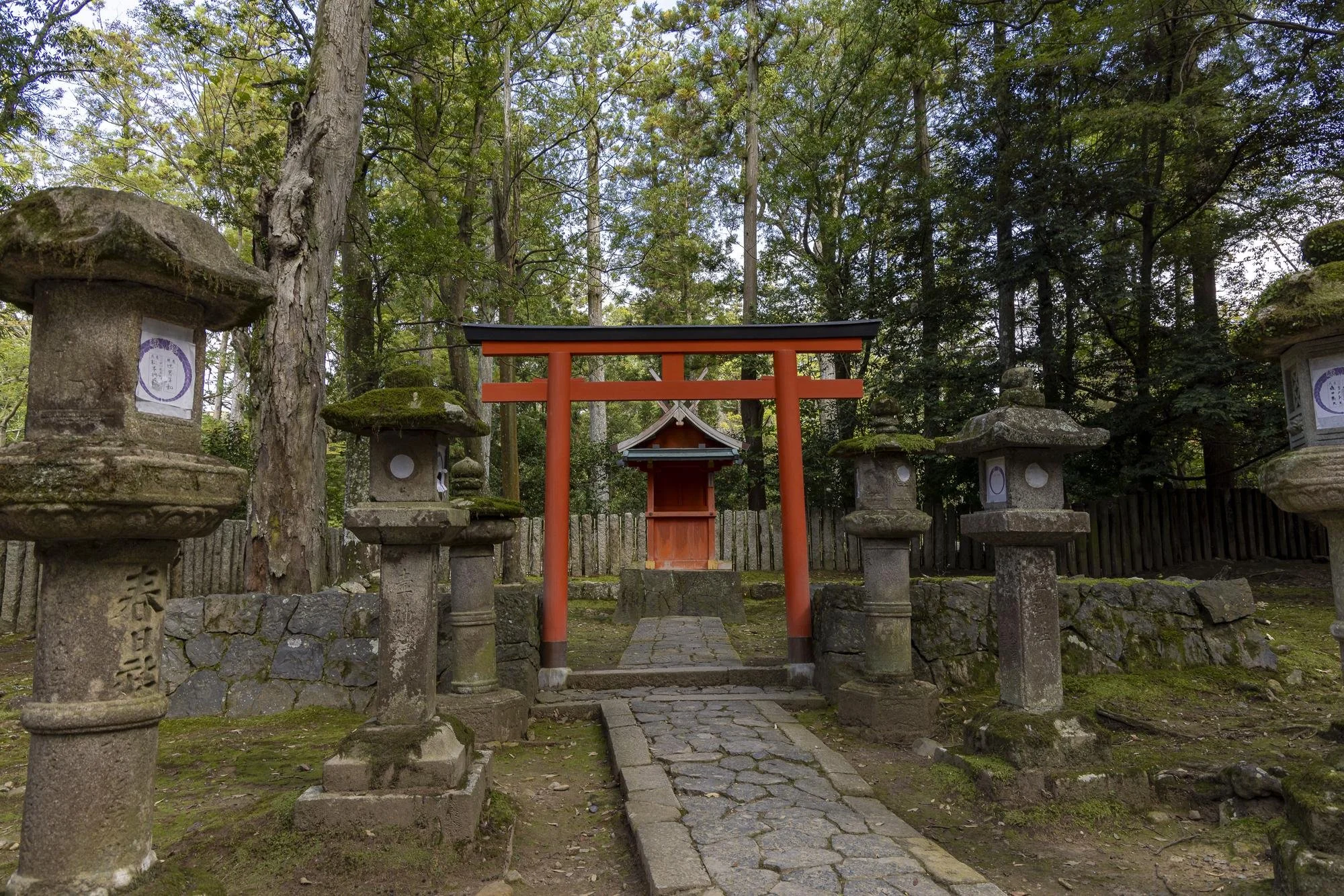 A traditional Japanese shrine entrance with a red torii gate, stone lanterns on each side, surrounded by trees in a wooded area.