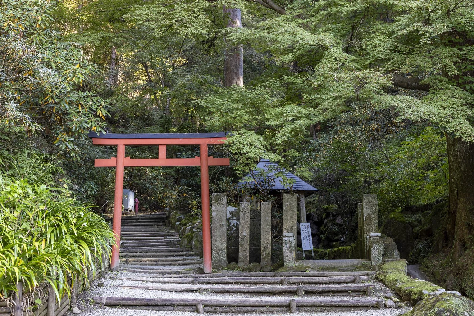 Red torii gate at the entrance of a shrine pathway surrounded by lush green trees and vegetation.