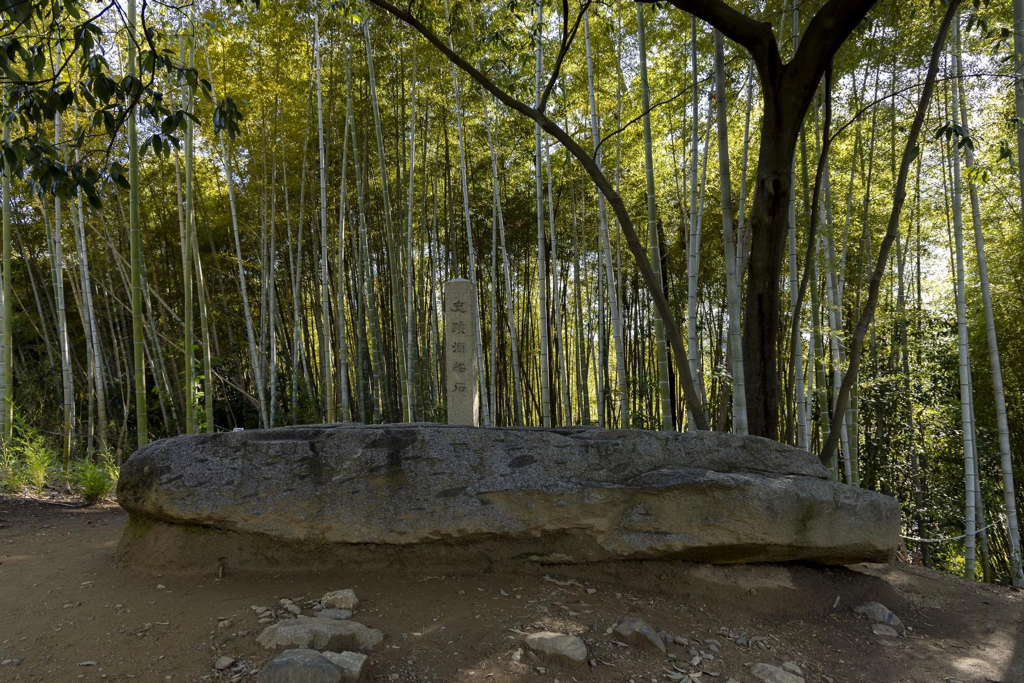 A large flat stone with a vertical stone marker in front of a bamboo forest, with a large tree to the right, sunlight filtering through the dense bamboo and leaves.