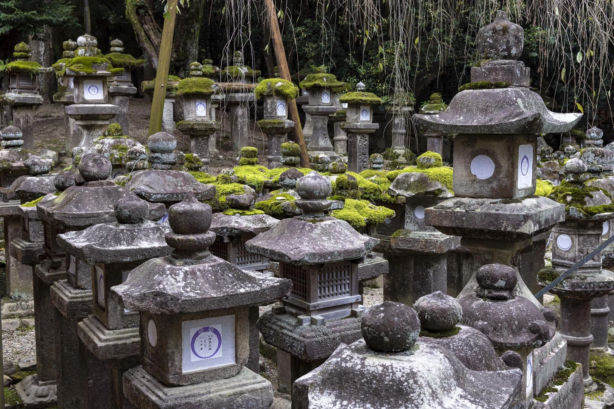 A collection of moss-covered stone lanterns and monuments in a traditional Japanese garden or temple setting surrounded by trees.
