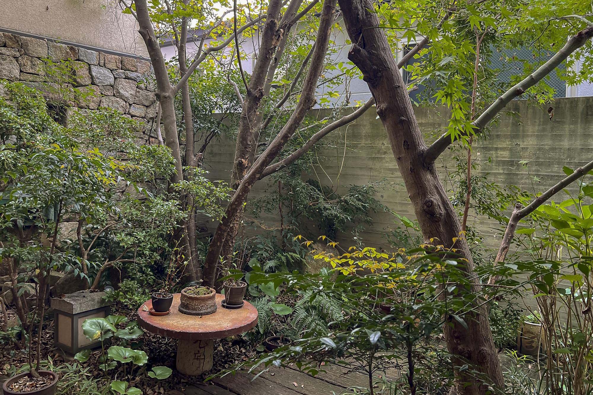 A small garden with various green plants, trees, and potted plants on a stone table, surrounded by a stone wall and a wooden fence.