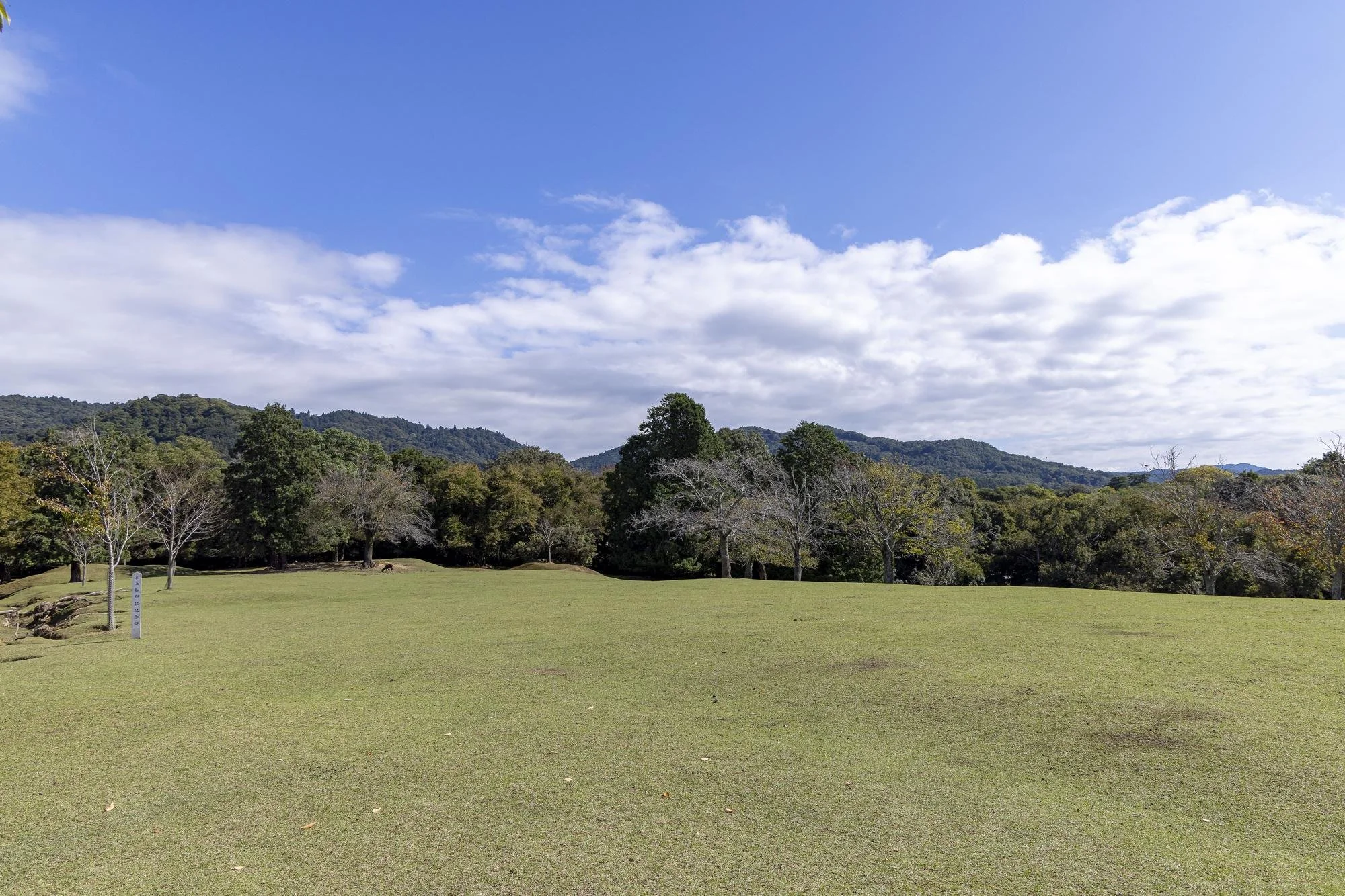 Open grassy field with trees and mountains in the background under a partly cloudy blue sky.