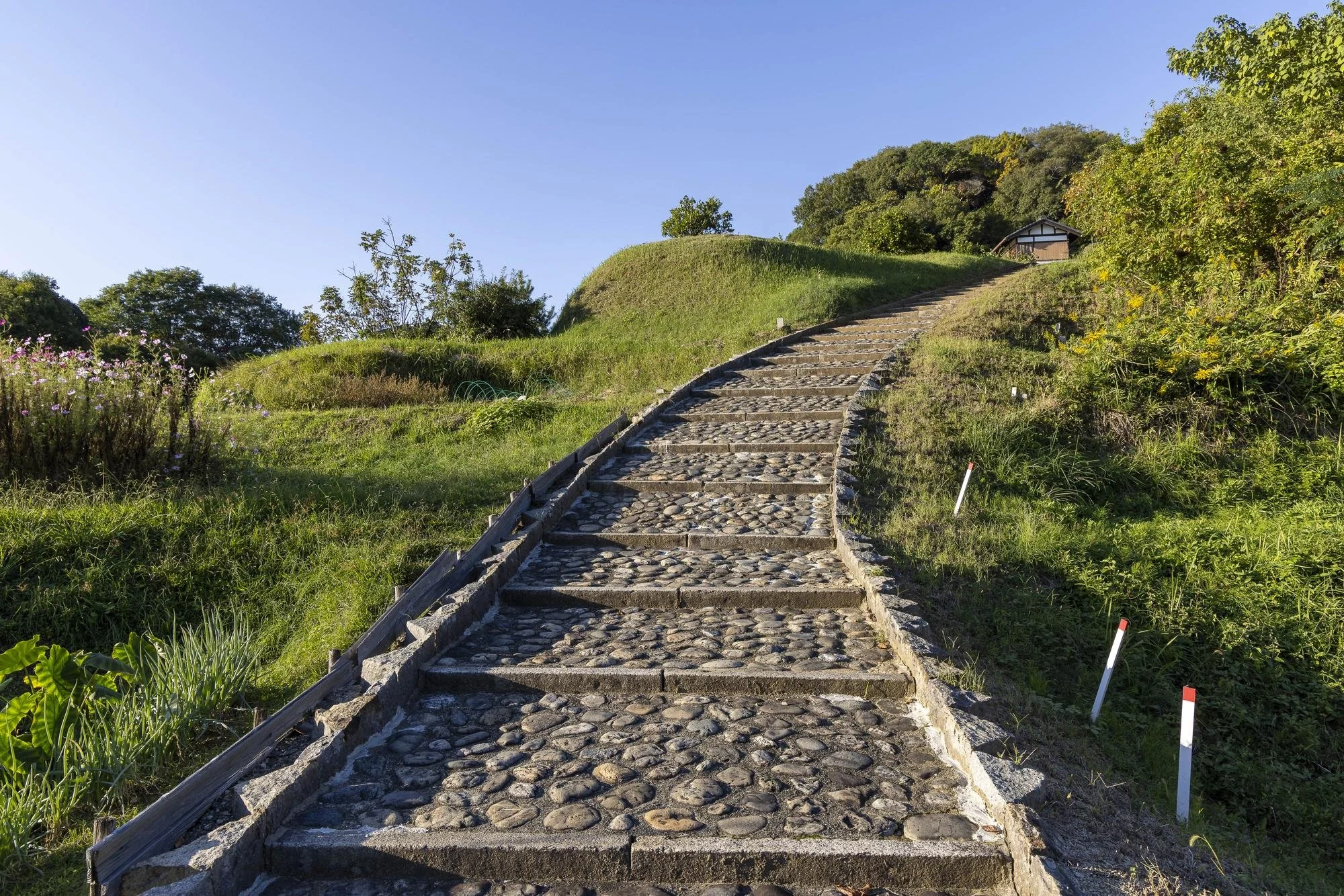 Stone staircase leading up a grassy hill with a small house at the top, surrounded by trees and flowers under a clear blue sky.