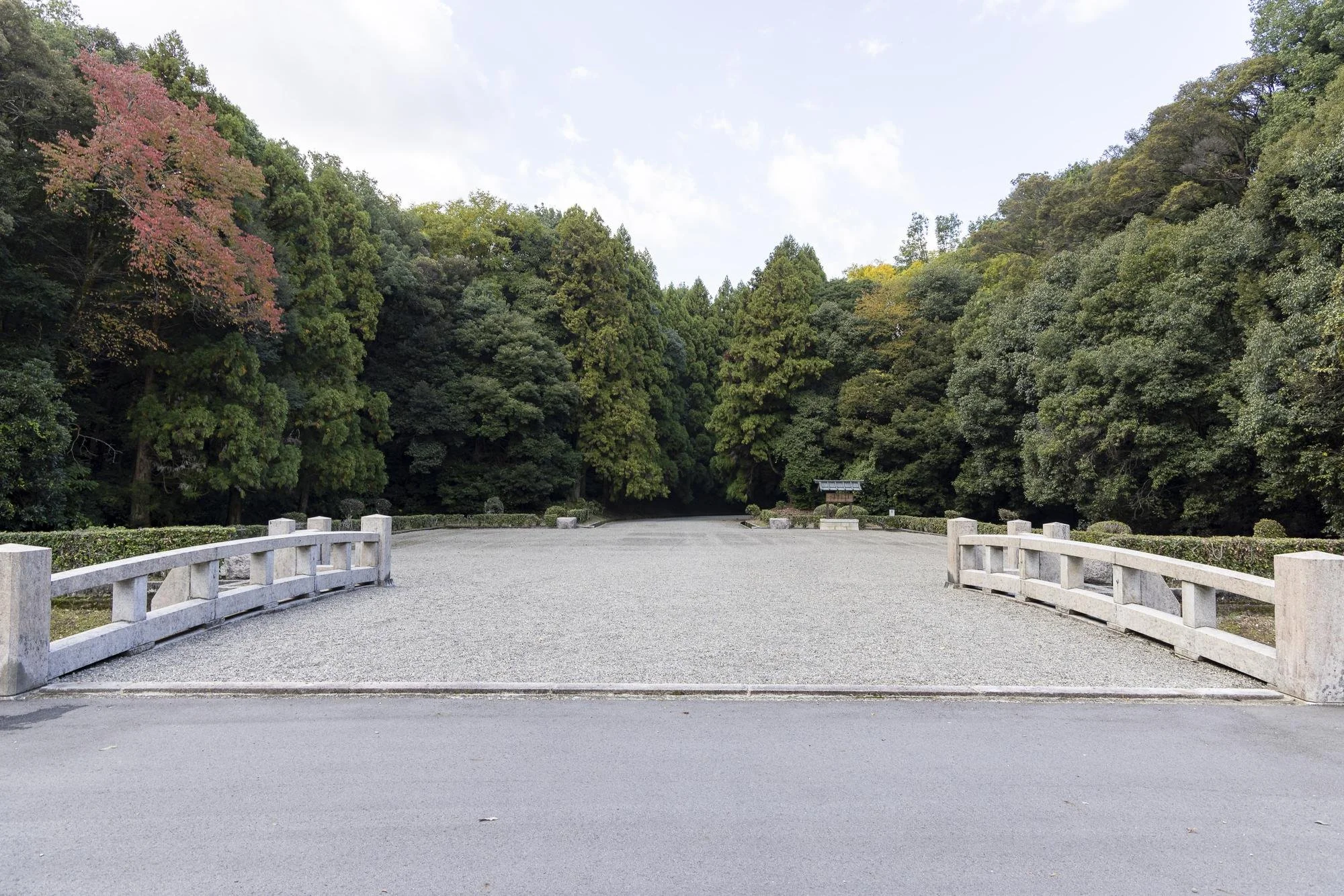 A quiet, paved path leading into a lush, green forest with a small shrine or structure visible in the distance.
