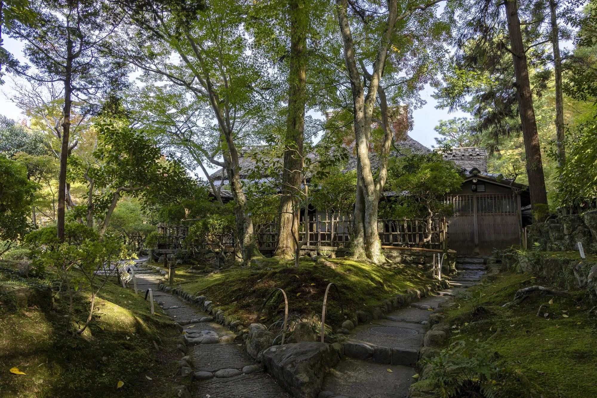 A serene Japanese garden with moss-covered ground, stone pathways, trees, and traditional wooden buildings in the background.