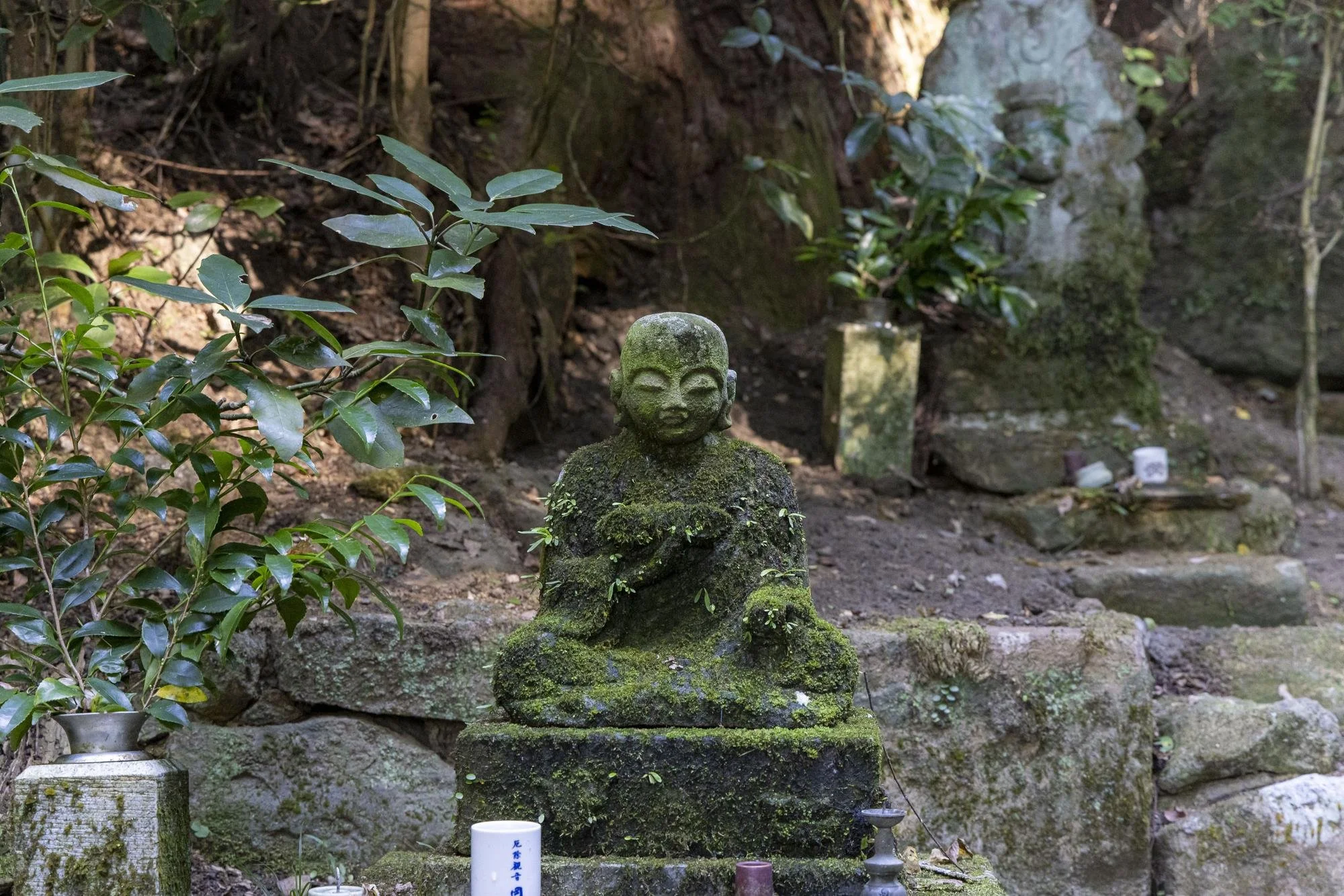 A moss-covered stone statue of a meditating figure in a natural, outdoor setting with plants and rocks.
