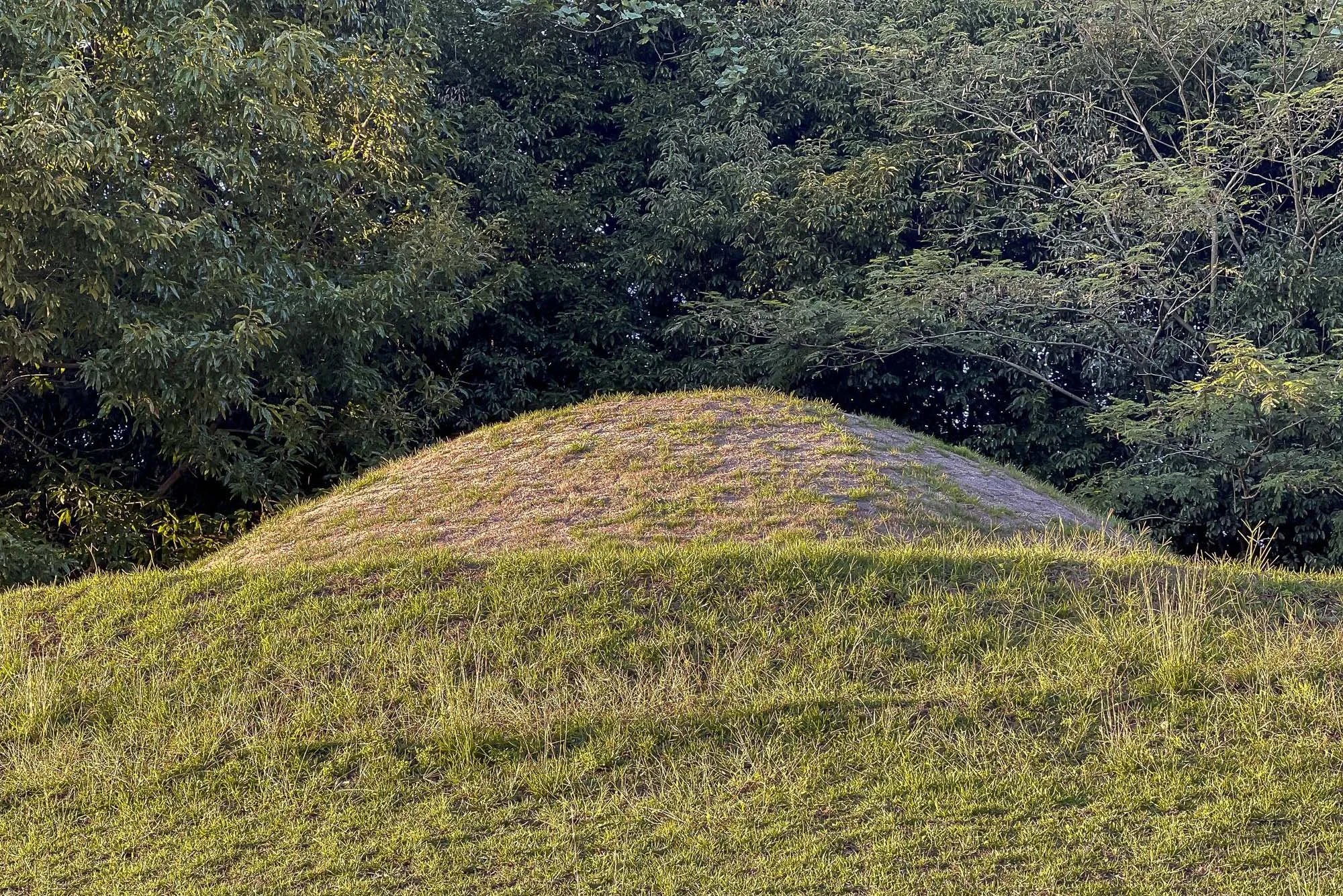 Small grassy hill with a rounded top, surrounded by trees and bushes in the background.