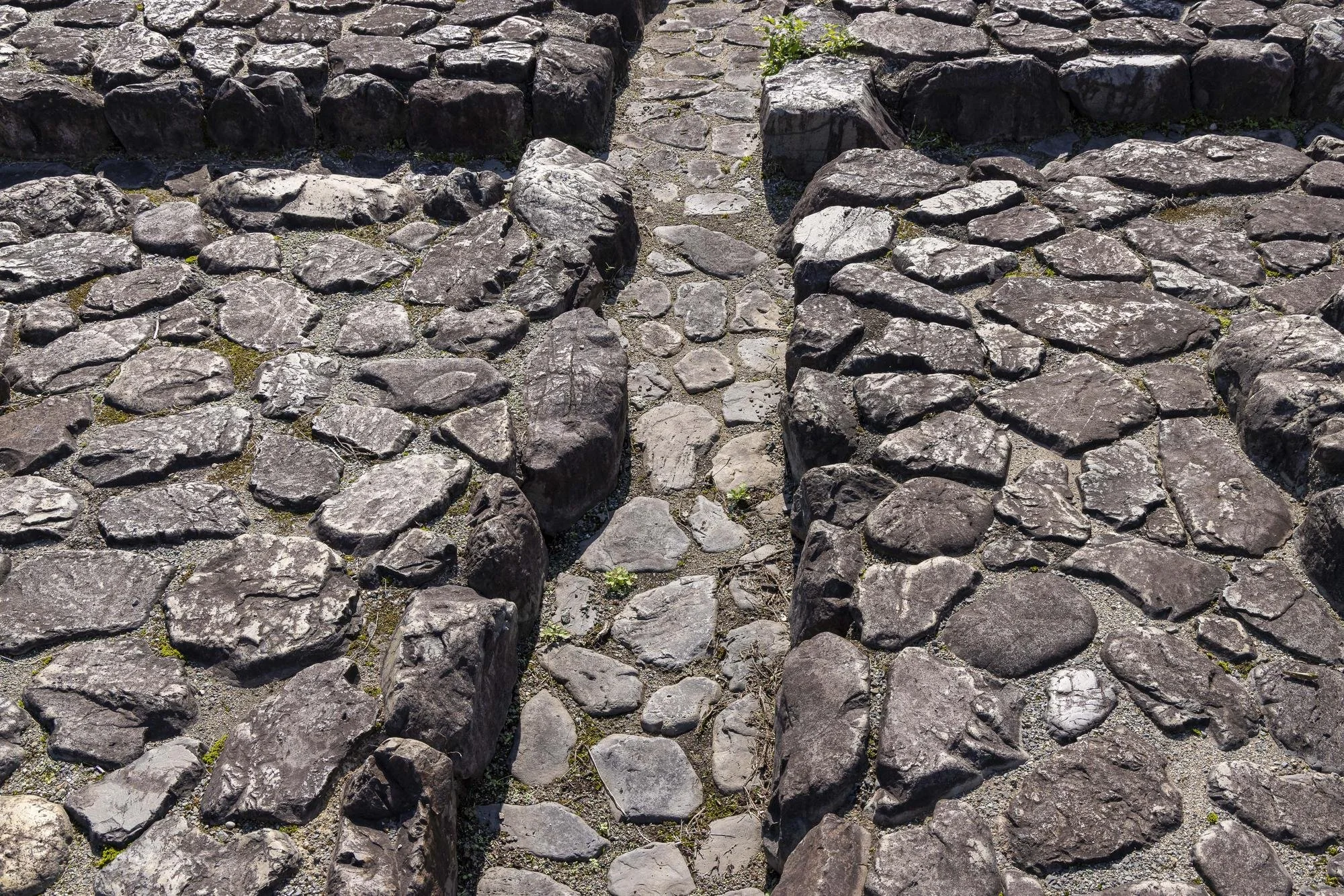 Asuka Palace Site: Close-up view of ancient stone pavement with irregularly shaped dark stones and a narrow path in the center, surrounded by larger stones.