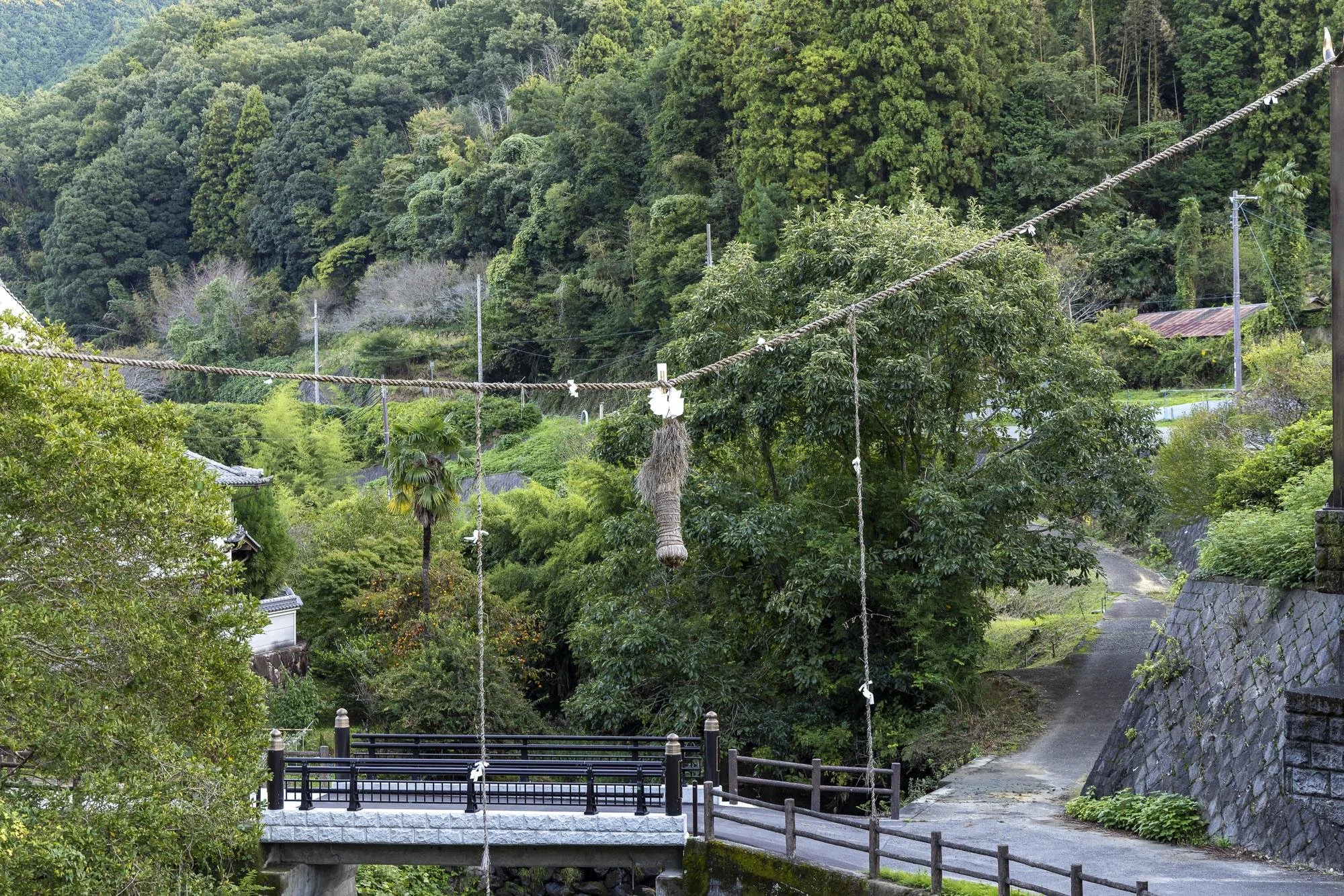 Ozuna, a sacred rope suspended across the river in the rice-farming village of Inabuchi, Asuka.