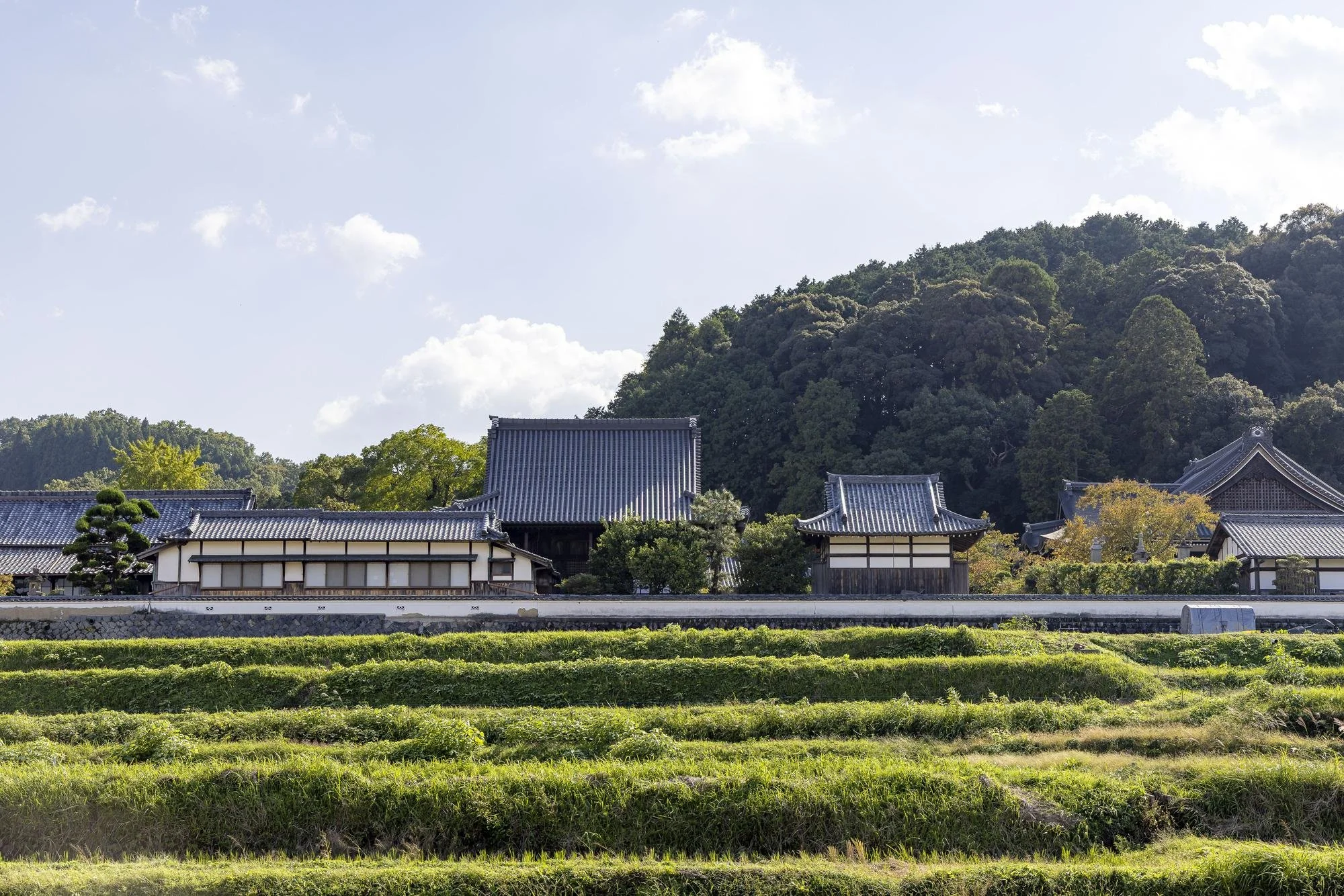 Traditional Japanese buildings with tiled roofs in a rural setting, surrounded by lush green fields and a forested hill in the background.