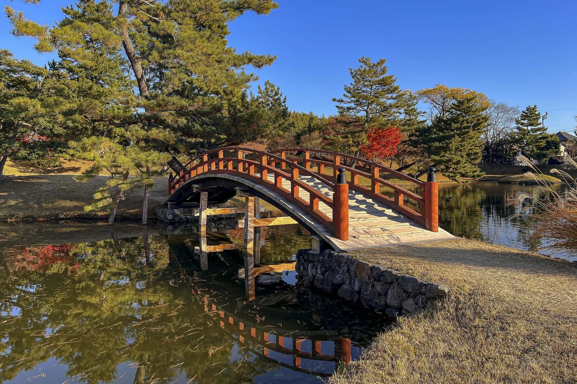 A small wooden bridge with red railings crossing over a pond in a park with trees and clear blue sky.