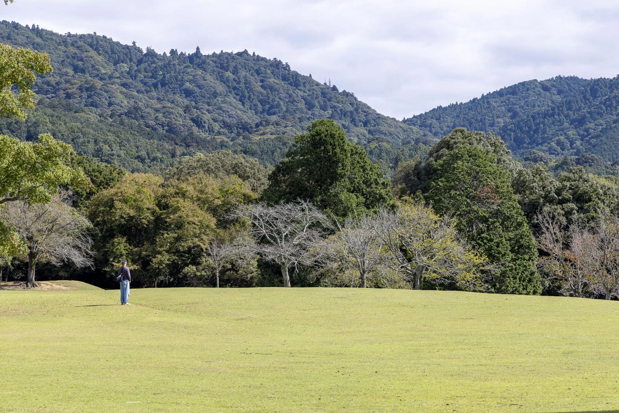 A person standing on a grassy field with trees and forested hills in the background under a partly cloudy sky.
