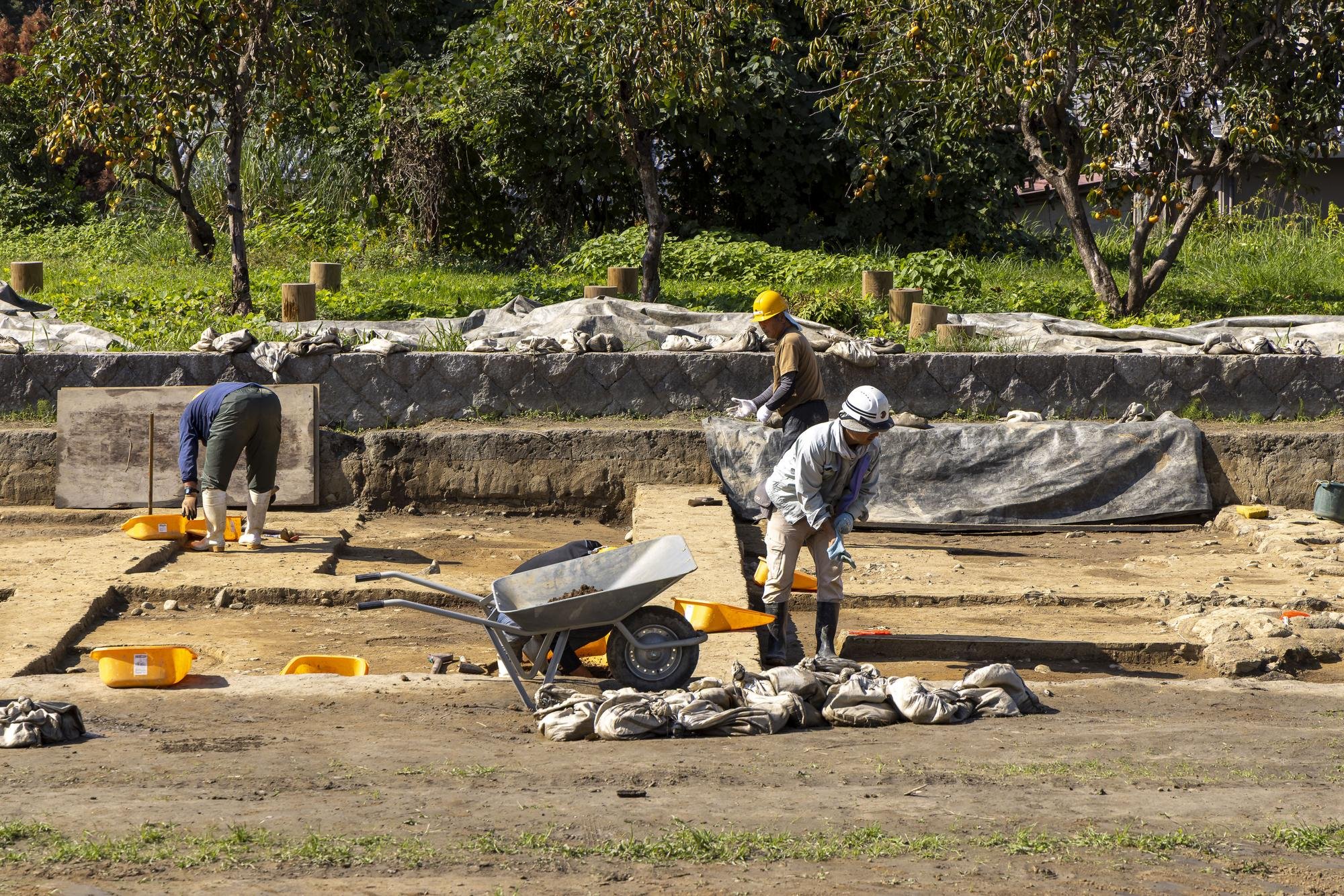 Two archaeological workers examining exposed soil layers and excavated remains at a dig site in Asuka, Nara.