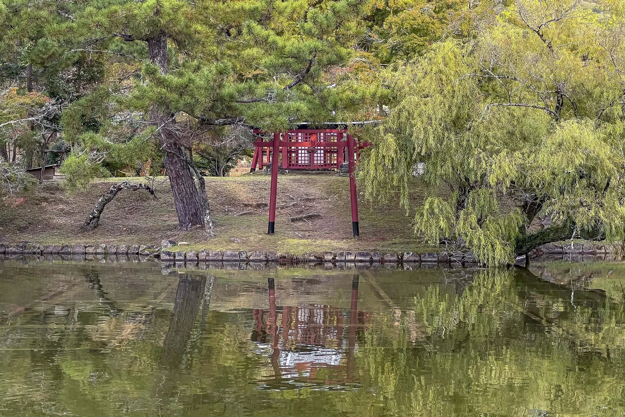 A small red wooden shrine or torii gate on a grassy hill near a body of water, with trees surrounding it and their reflections visible in the water.