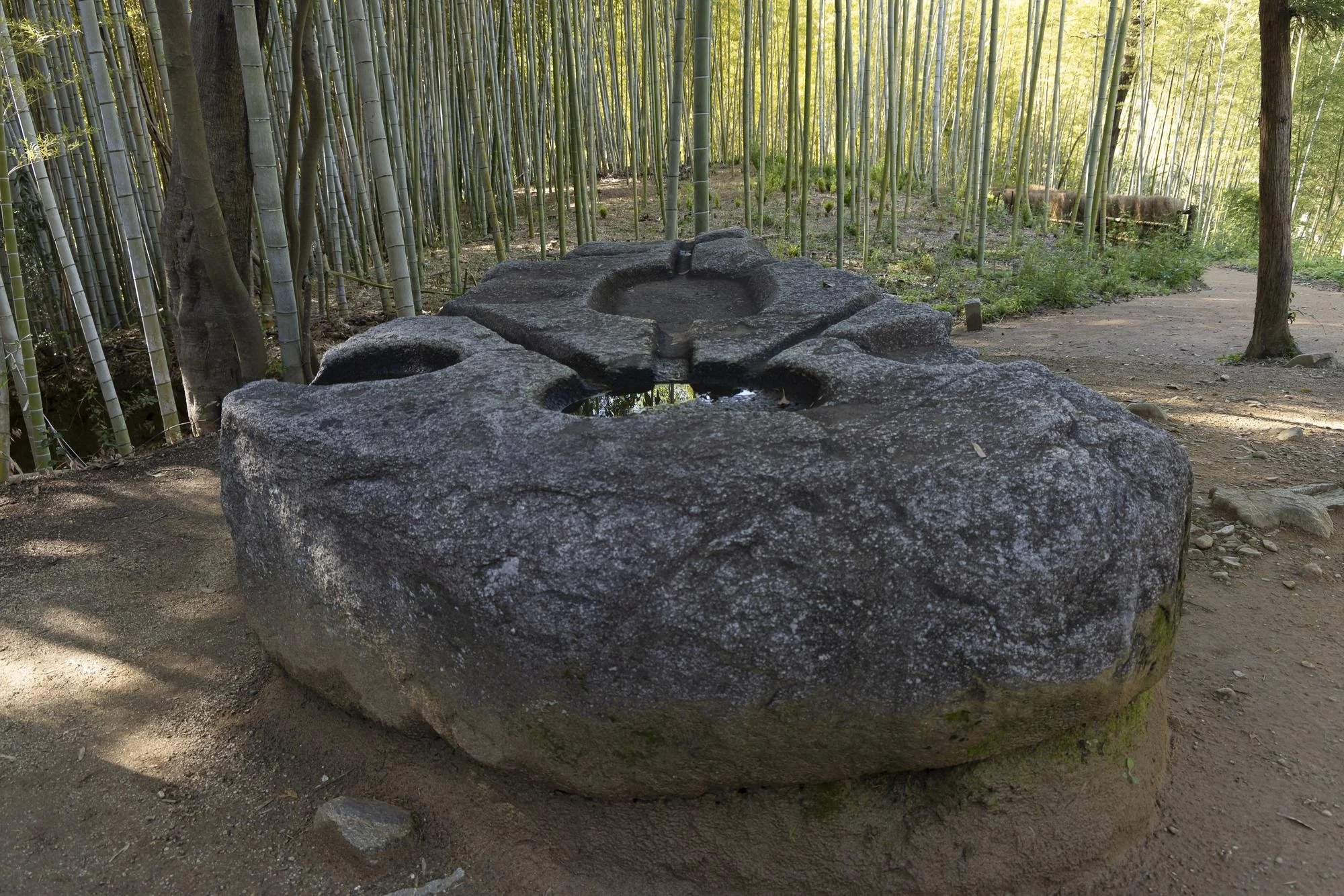 Large ancient stone with carved circular cutouts, situated in a bamboo forest with tall green stalks and a dirt path nearby.