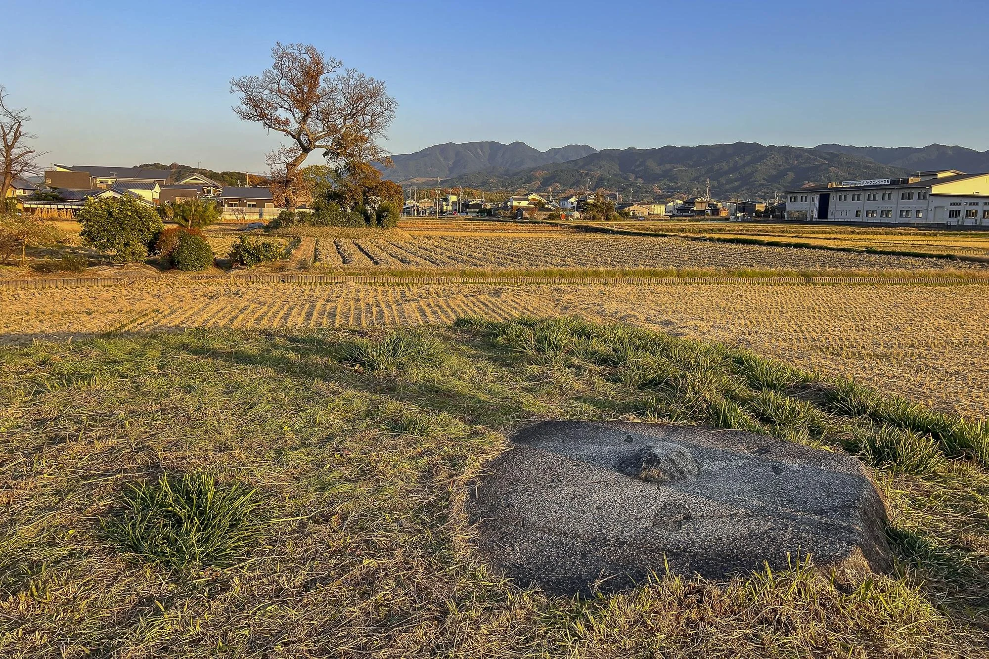 Open fields with a large flat rock in the foreground, trees, and distant mountains under a clear blue sky.