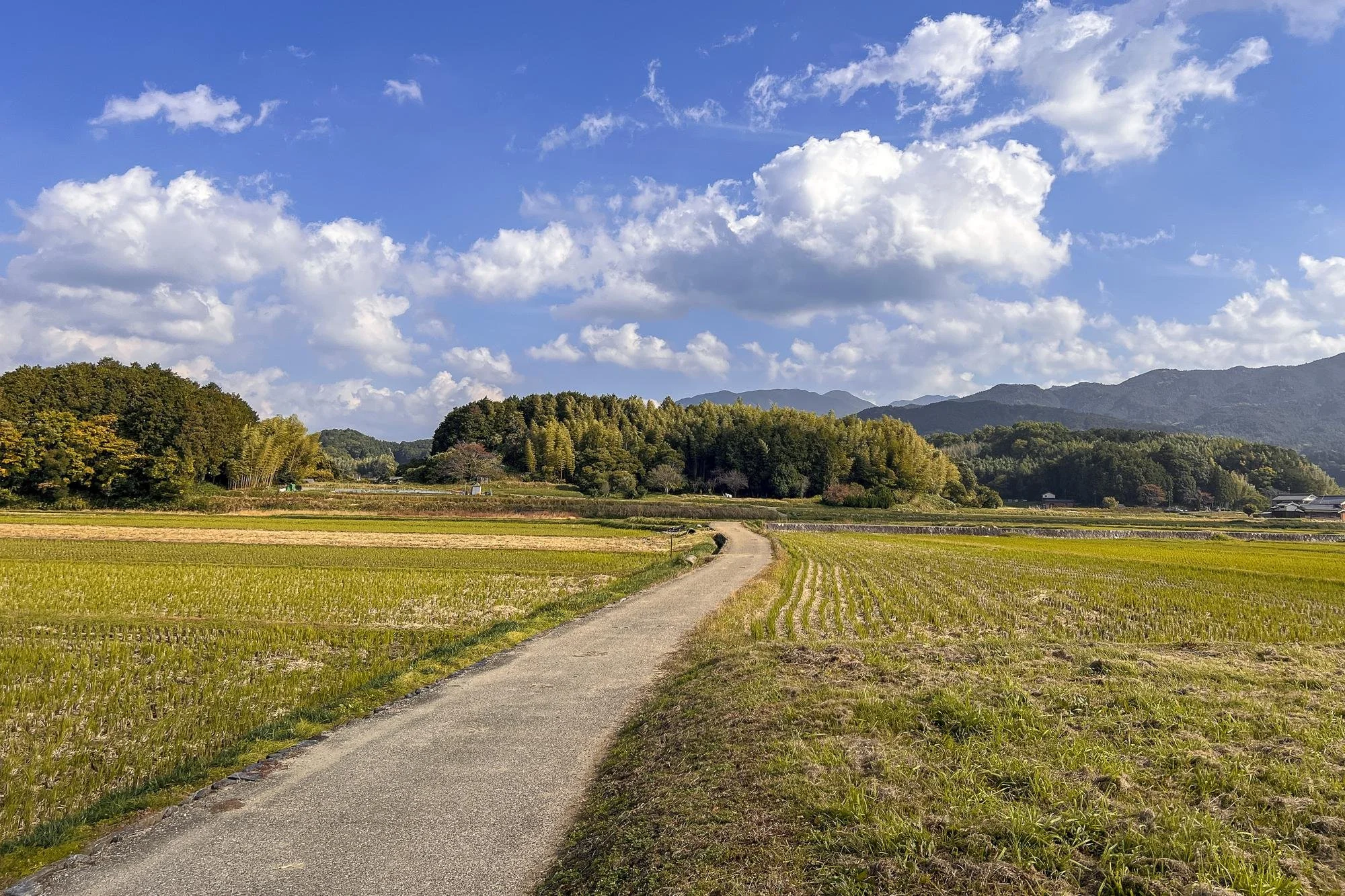 A rural landscape with a small dirt path winding through green fields towards a tree-covered hill and distant mountains under a partly cloudy sky.