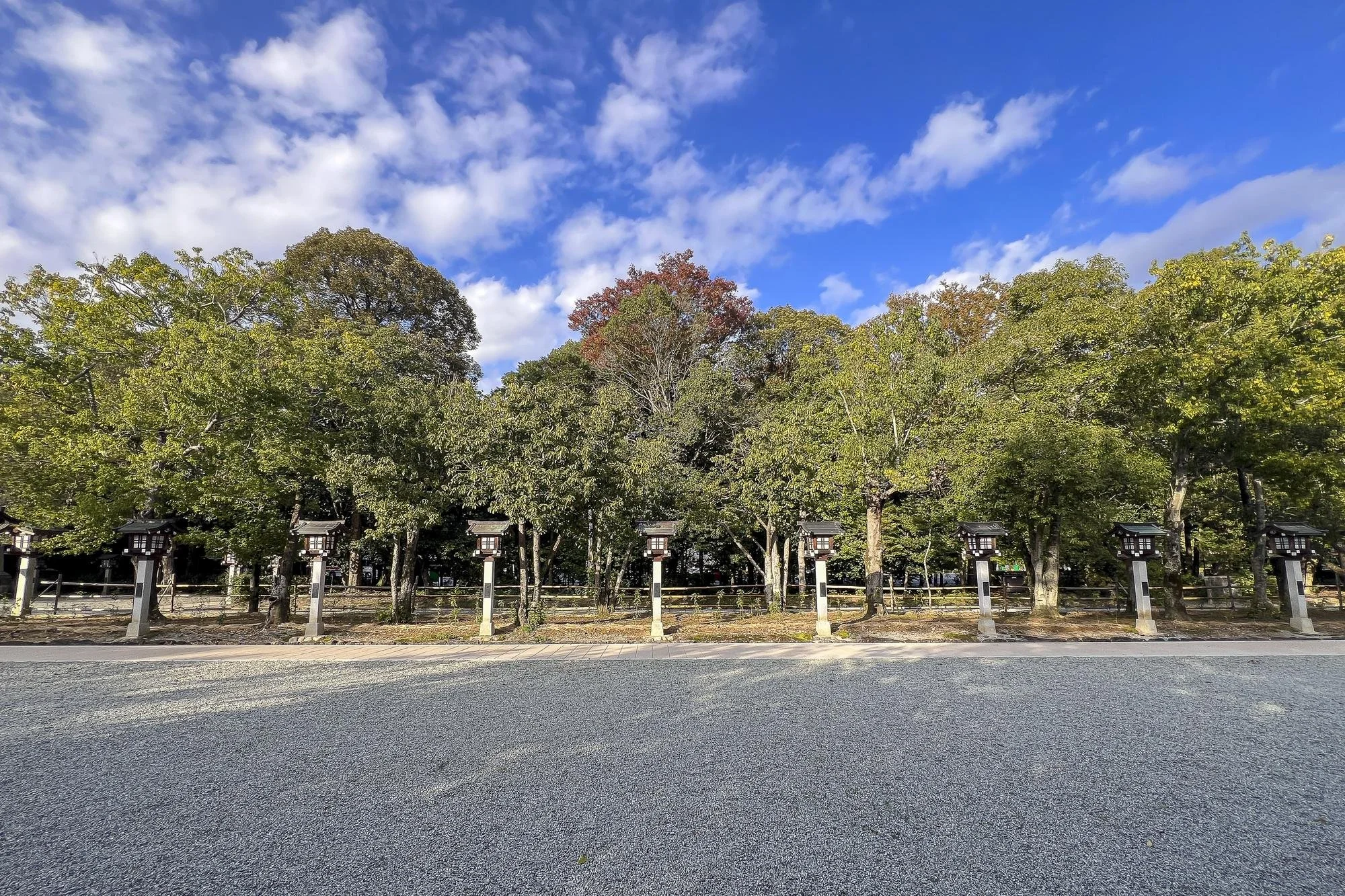A row of traditional Japanese lanterns lining a sidewalk in front of a line of trees with a partly cloudy blue sky.