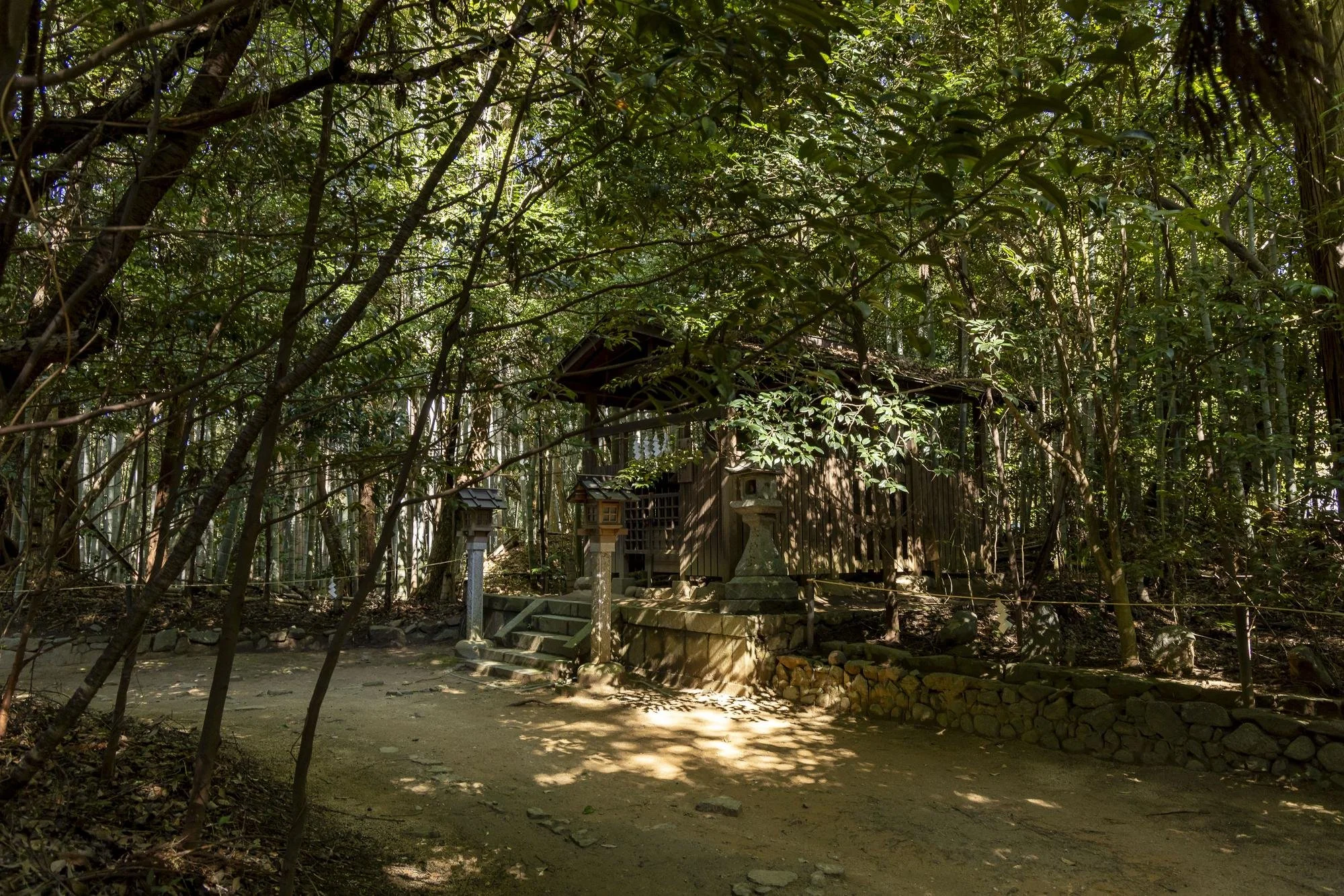 A small wooden shrine surrounded by dense green trees, with stone lanterns and steps leading up to it, in a forest setting.