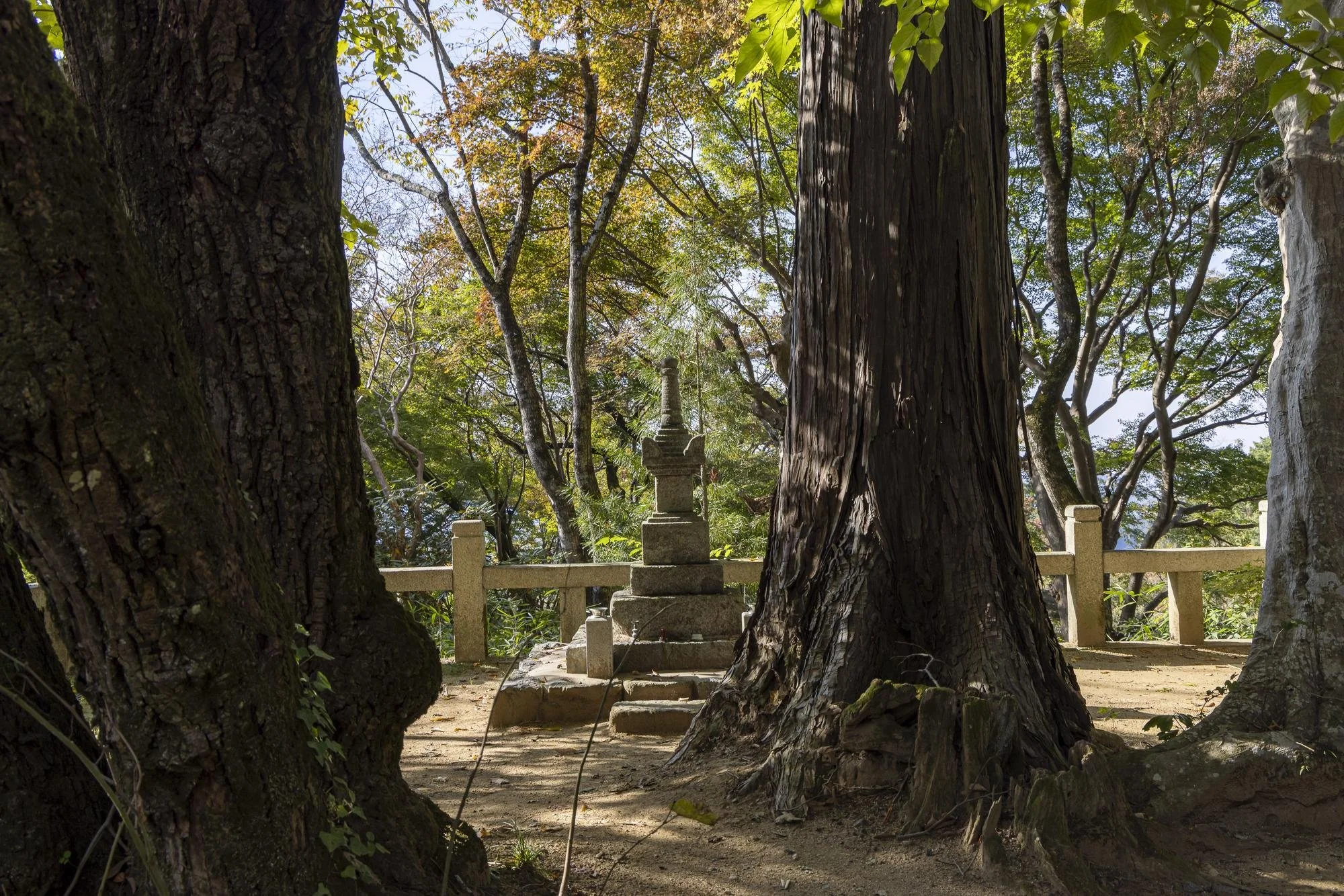 A stone pagoda surrounded by large tree trunks in a forest setting.