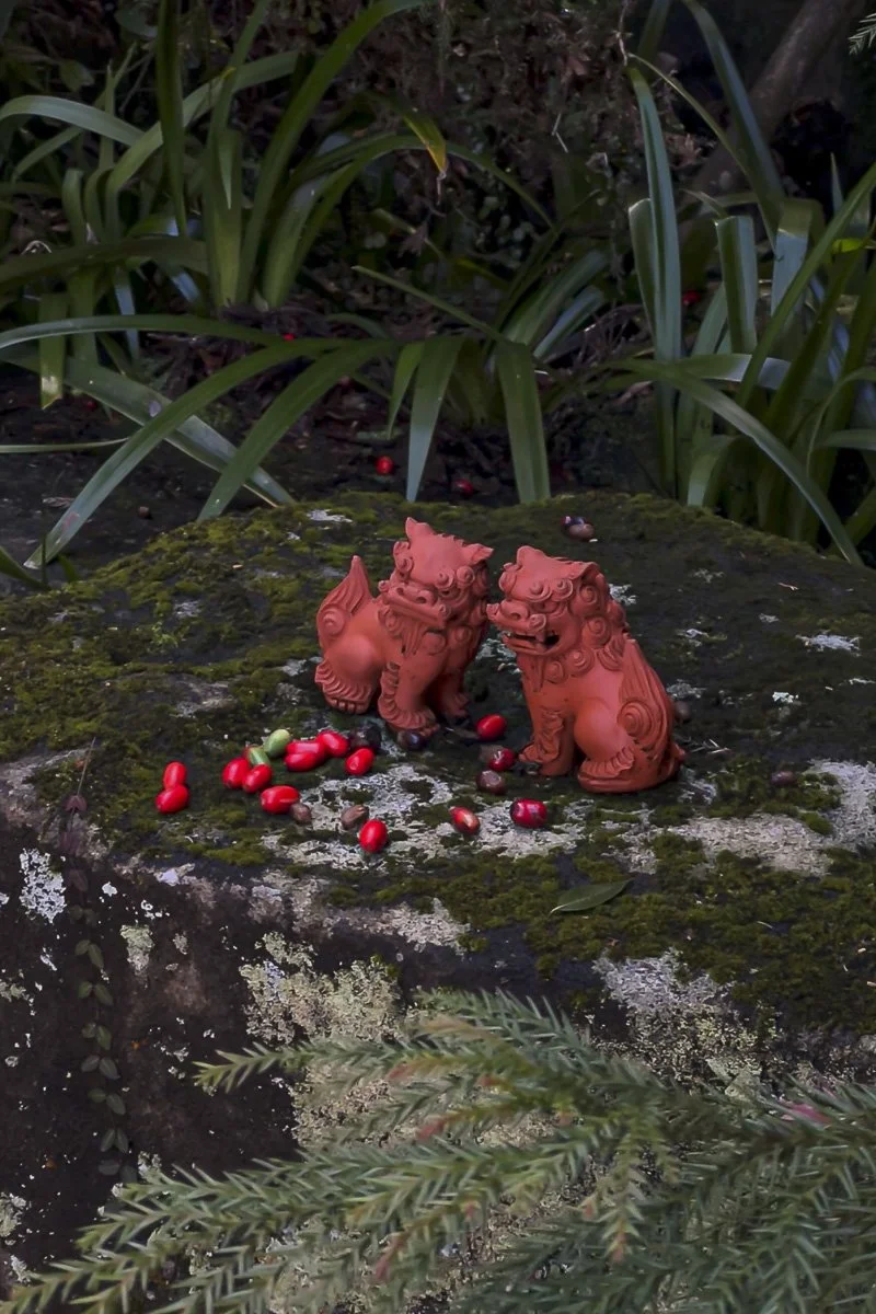 Two small, red Chinese guardian lion statues on a mossy rock, surrounded by scattered red berries and green plants.