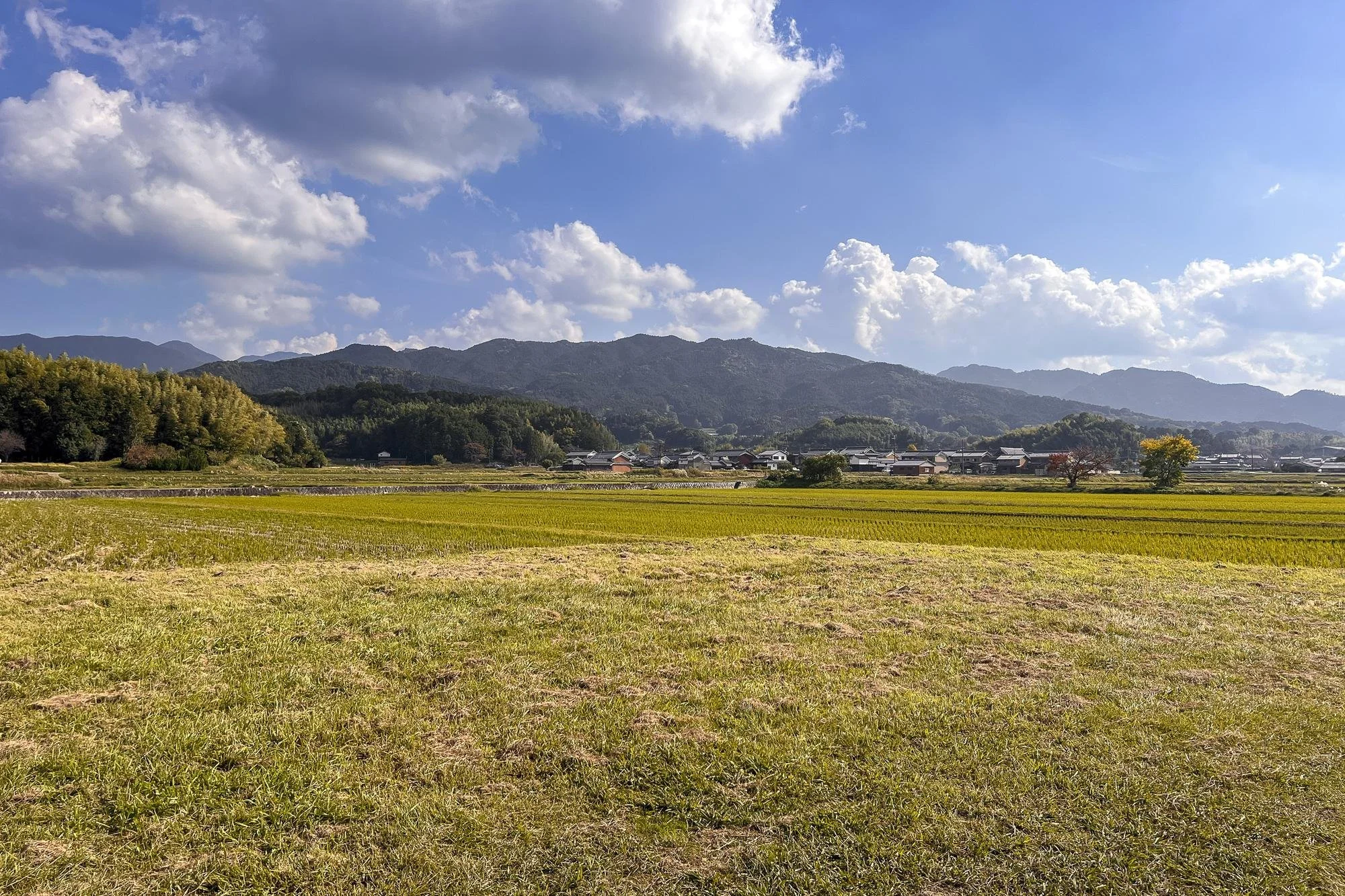 A vast open field with some grass, yellow-green plants, and a few small trees. In the background, there are distant houses, a forest, and mountain ranges under a partly cloudy sky.
