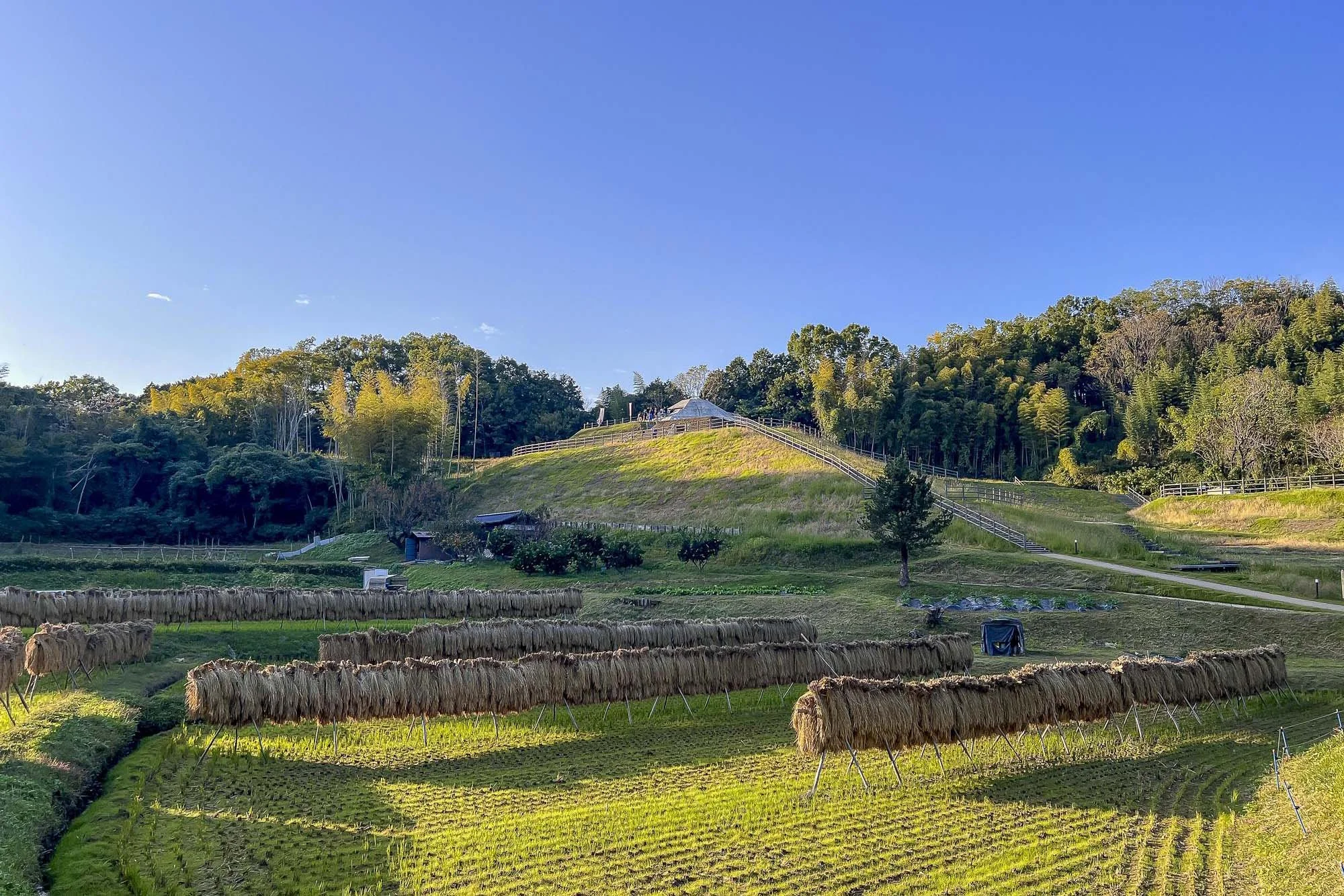Distant view of Kengoshizuka Kofun above harvested rice fields, with wooded hills and a clear blue sky in Asuka, Nara.